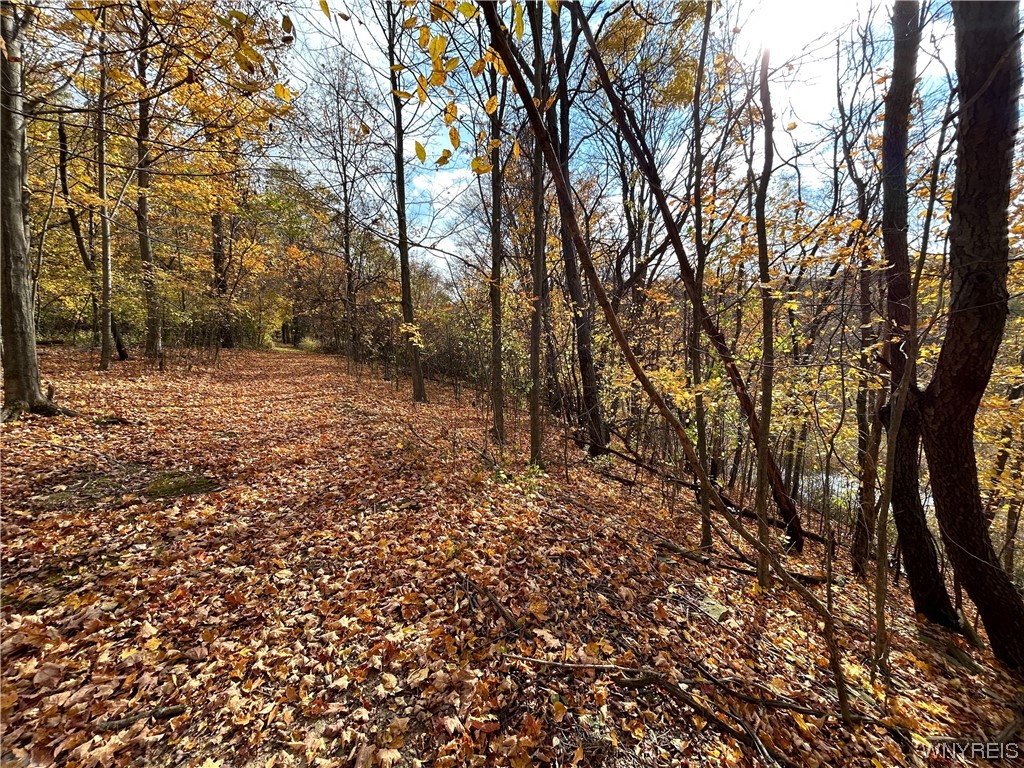 9220 Chautauqua Road