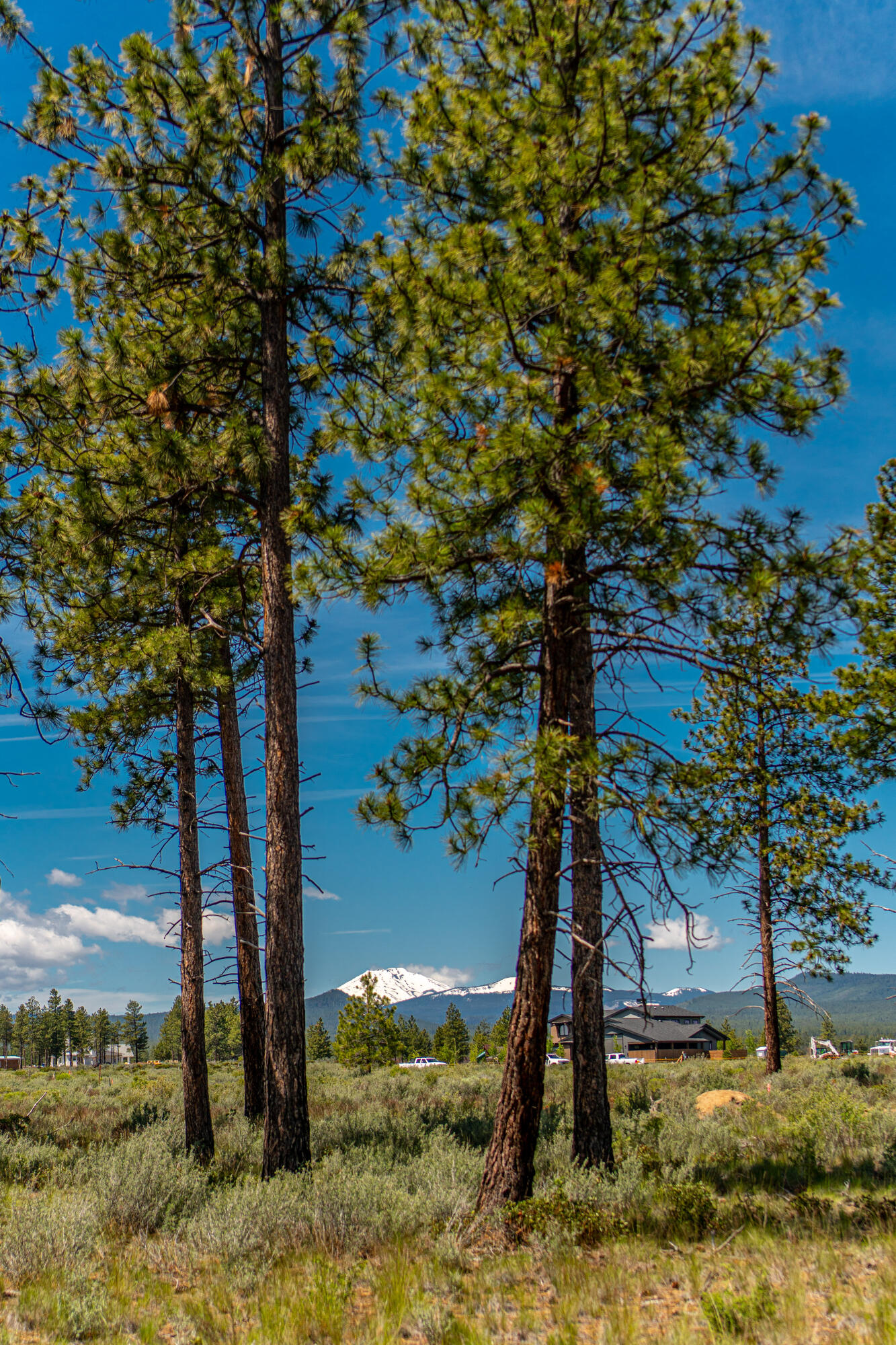 Lot #59 Timber Ridge Court