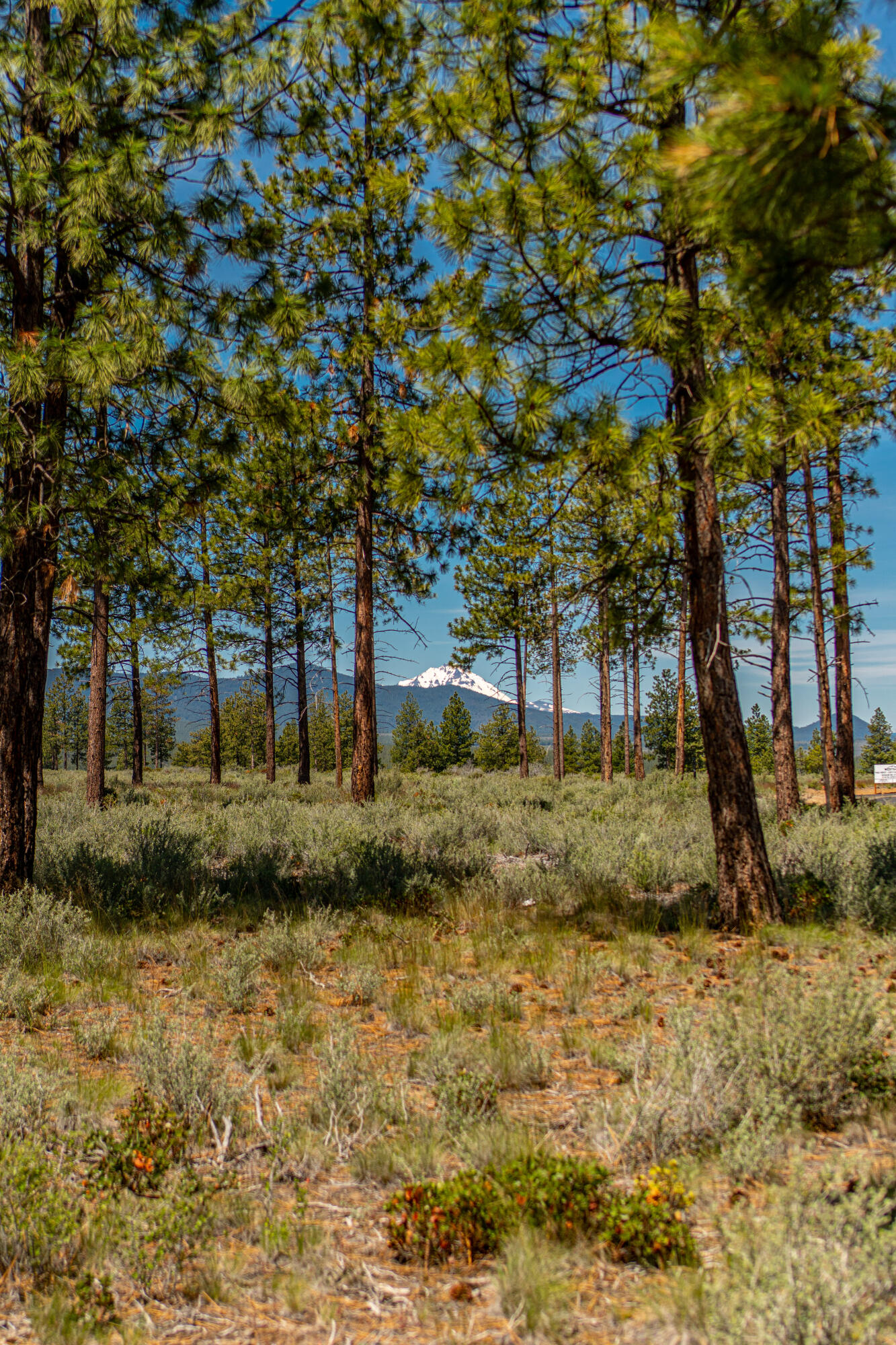 Lot #59 Timber Ridge Court