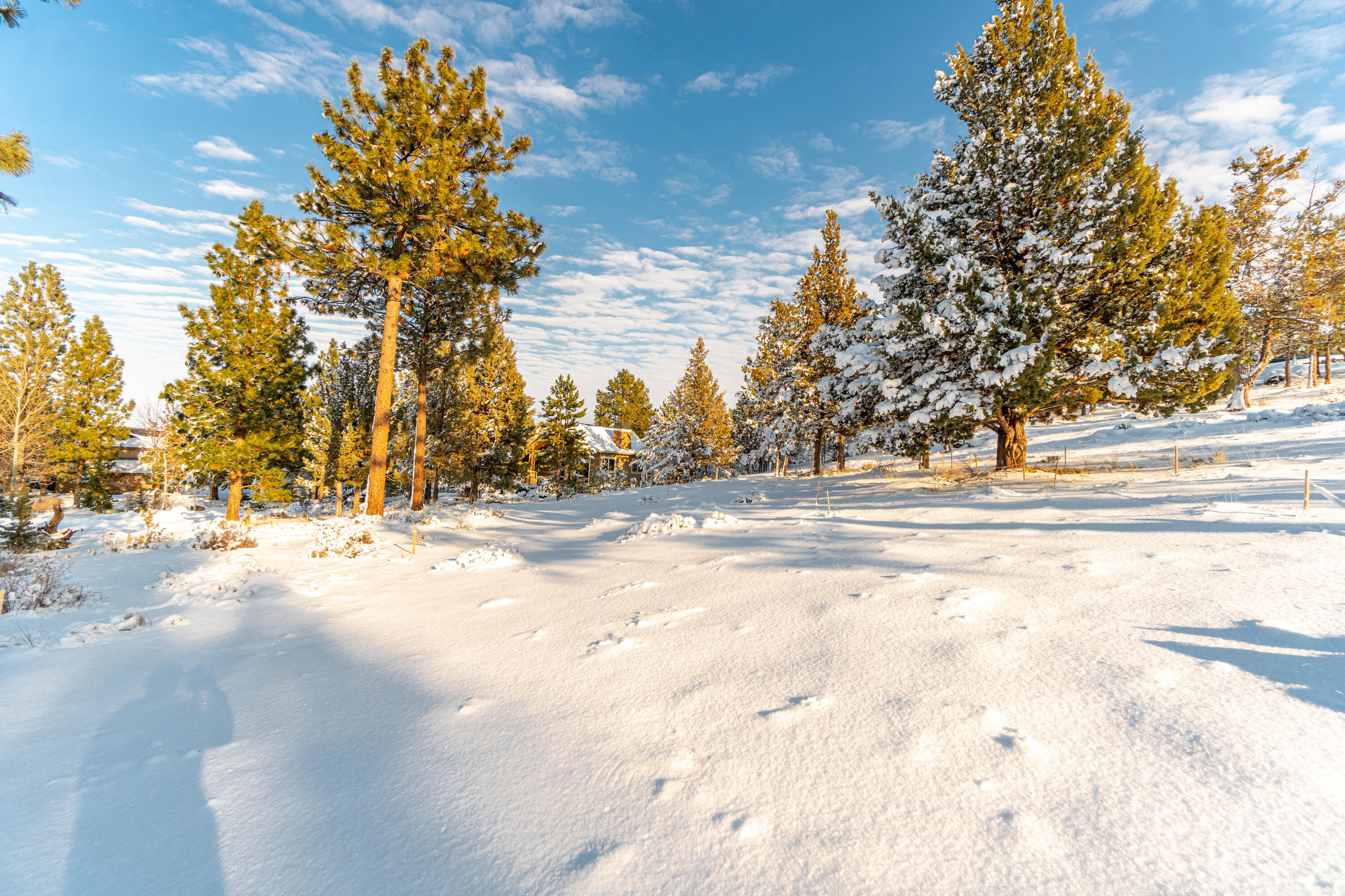 Lot 4 NW Healy Court