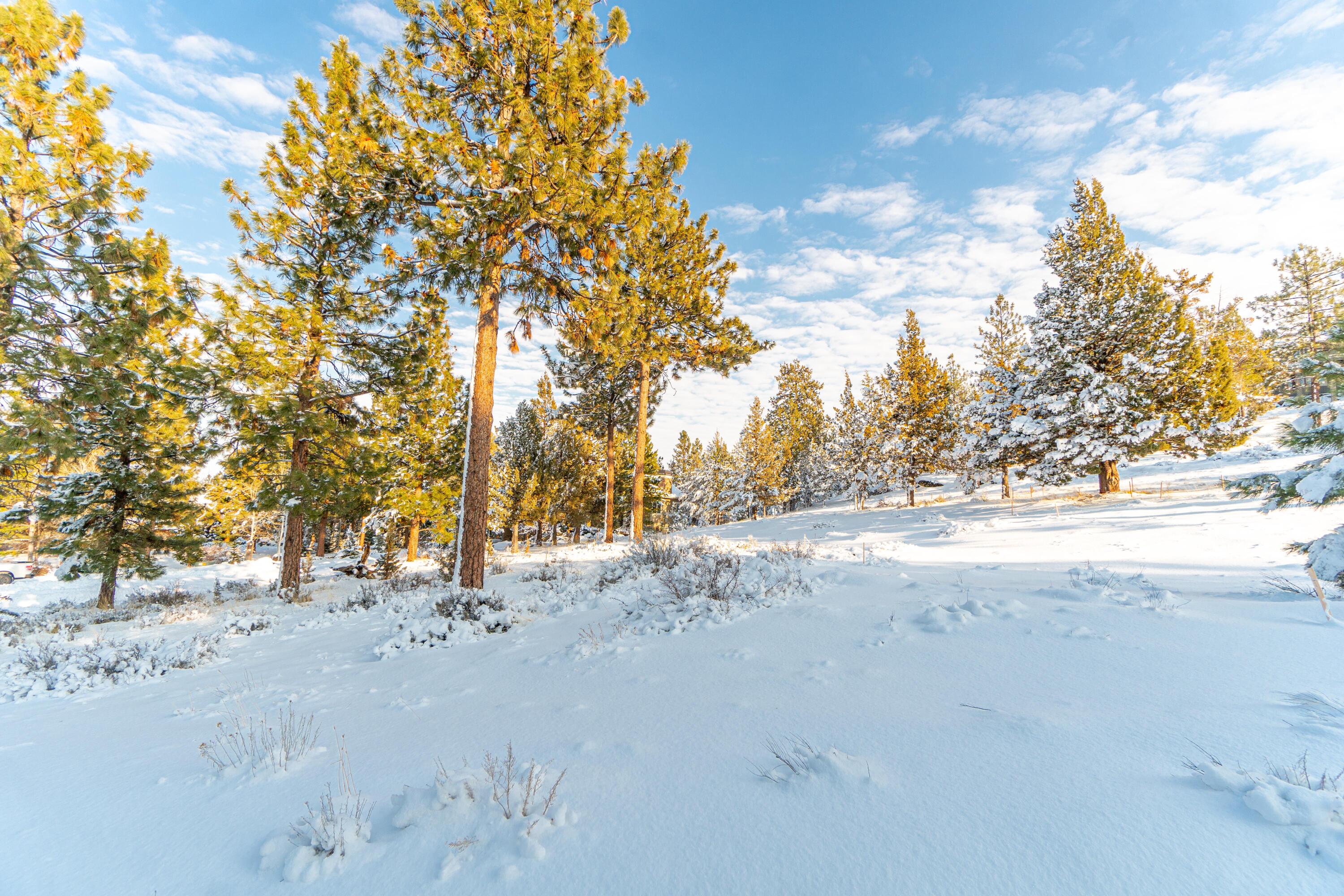 Lot 4 NW Healy Court