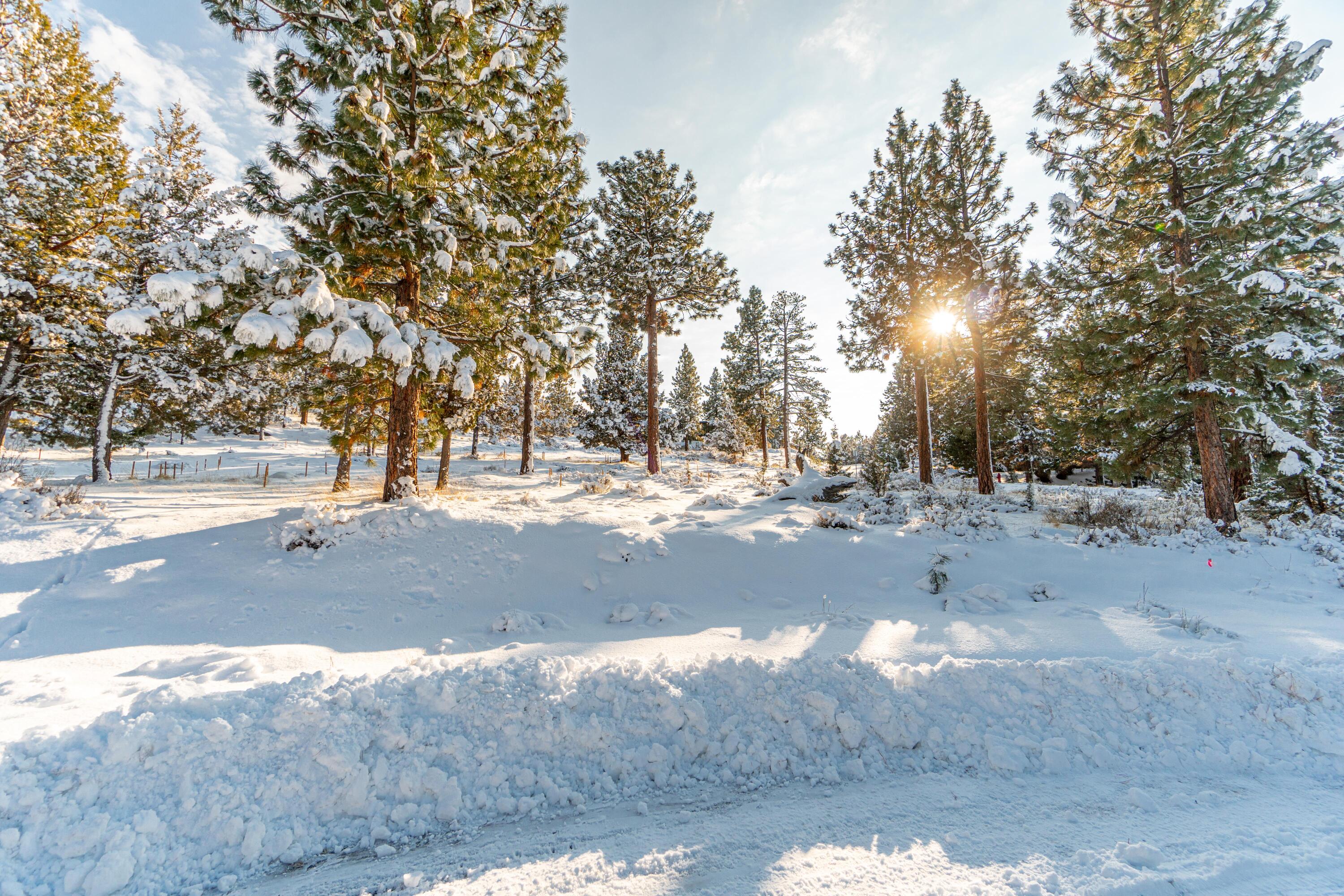 Lot 4 NW Healy Court