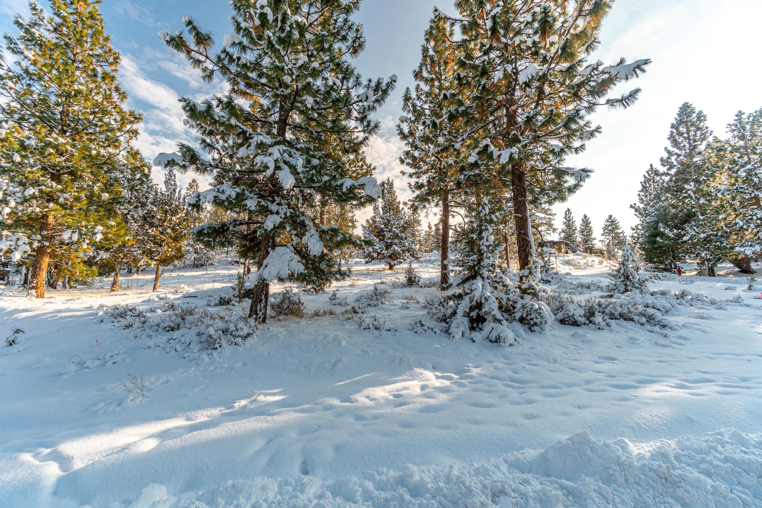 Lot 4 NW Healy Court