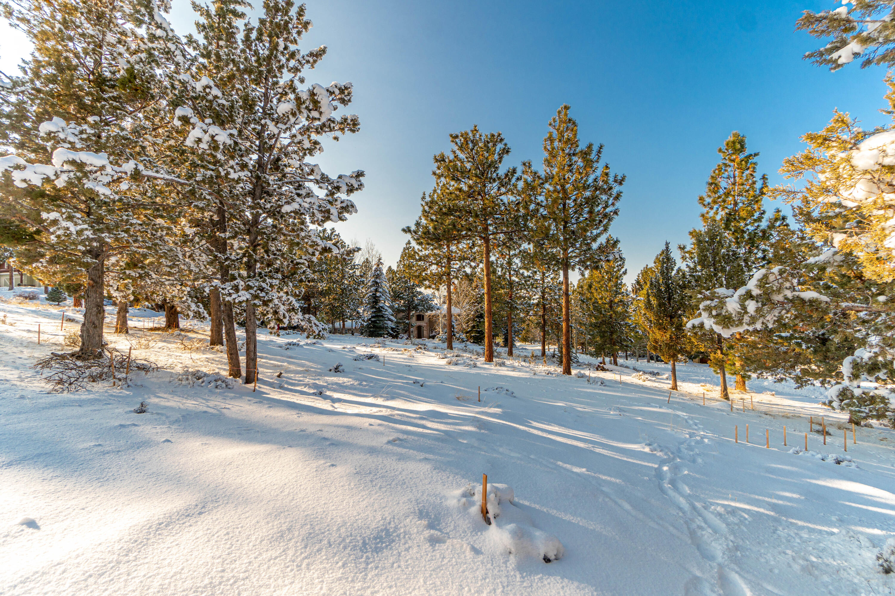 Lot 4 NW Healy Court