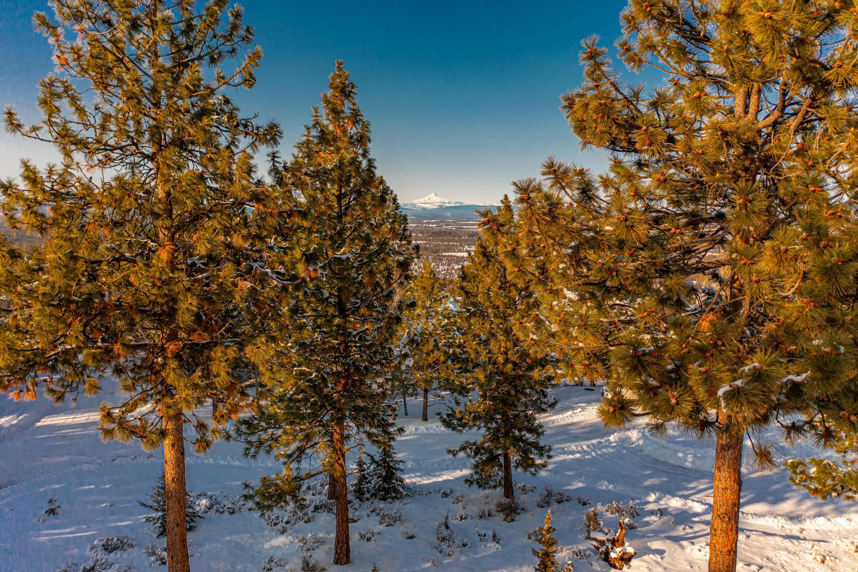 Lot 4 NW Healy Court