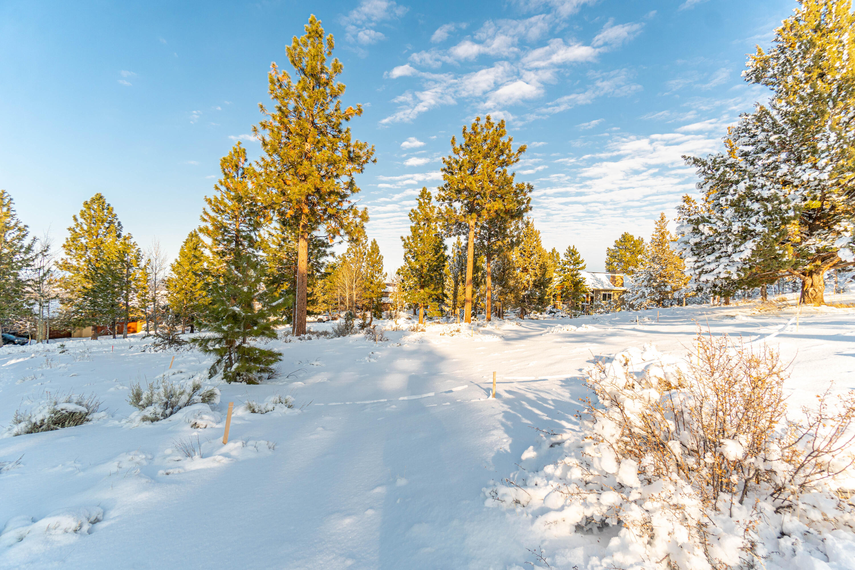 Lot 4 NW Healy Court