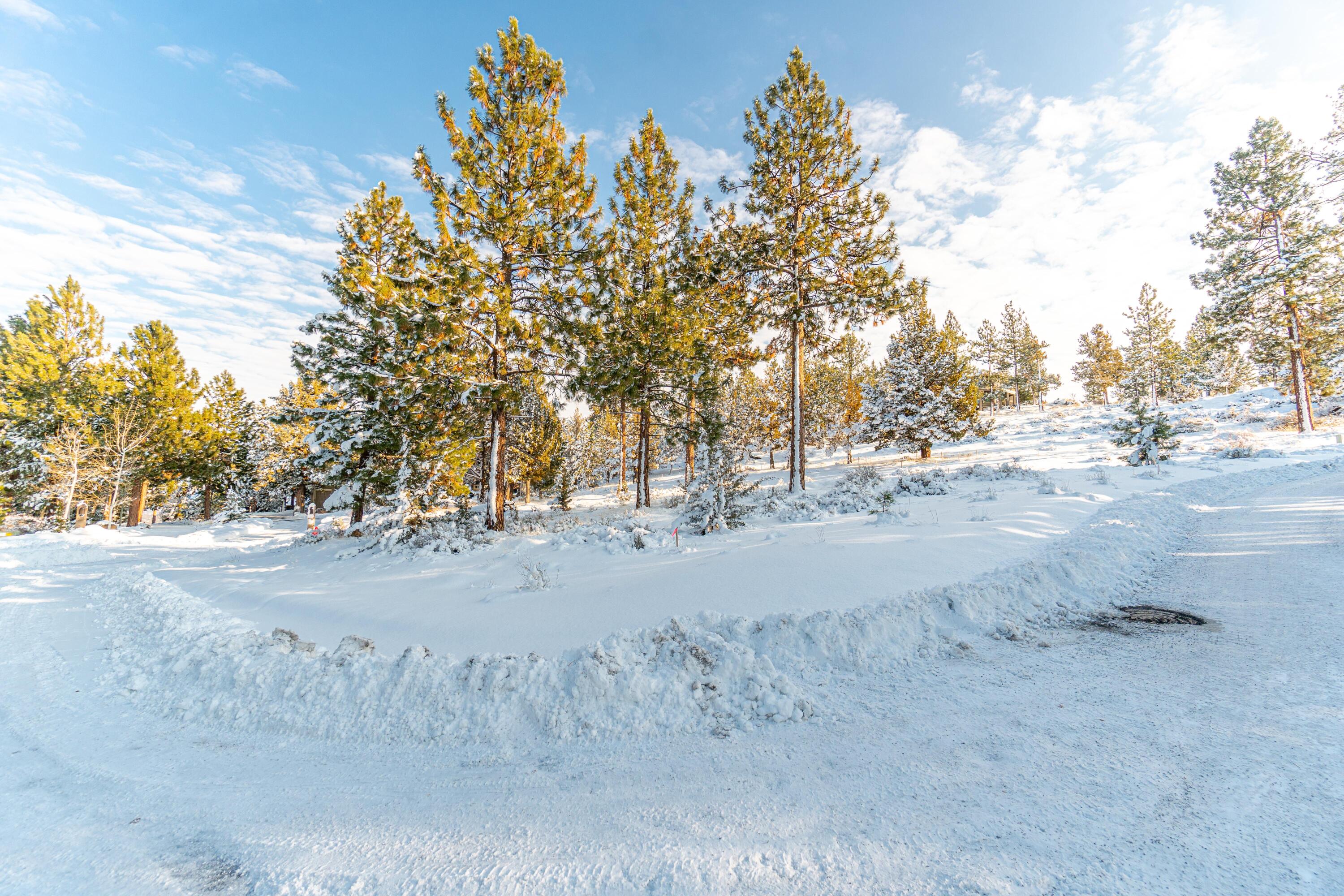 Lot 4 NW Healy Court