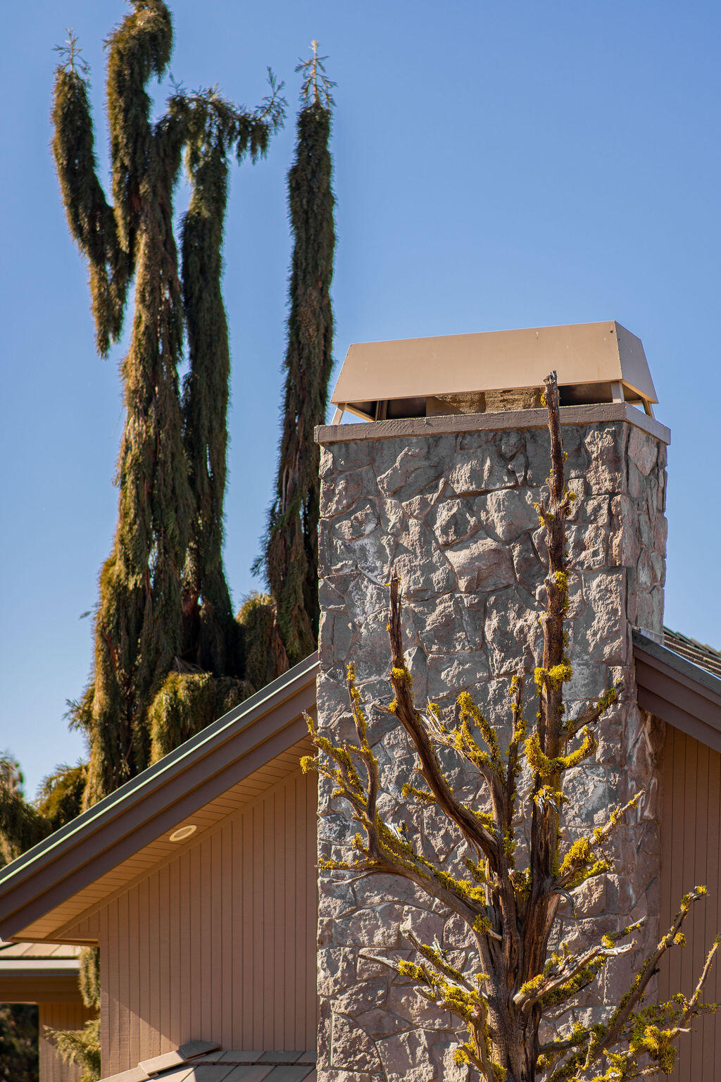 2806 NW Nightfall Circle