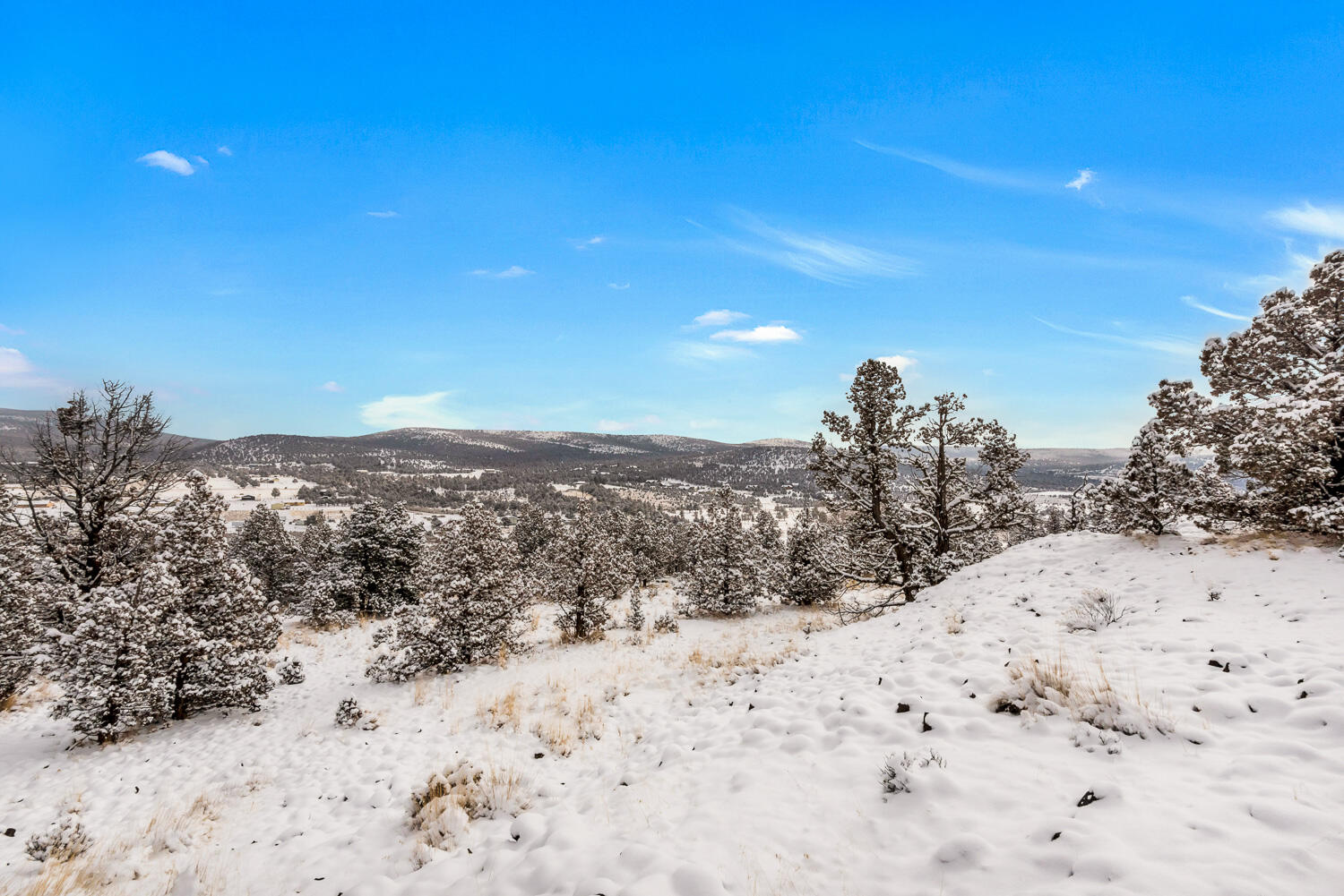 12328 SE View Top Lane