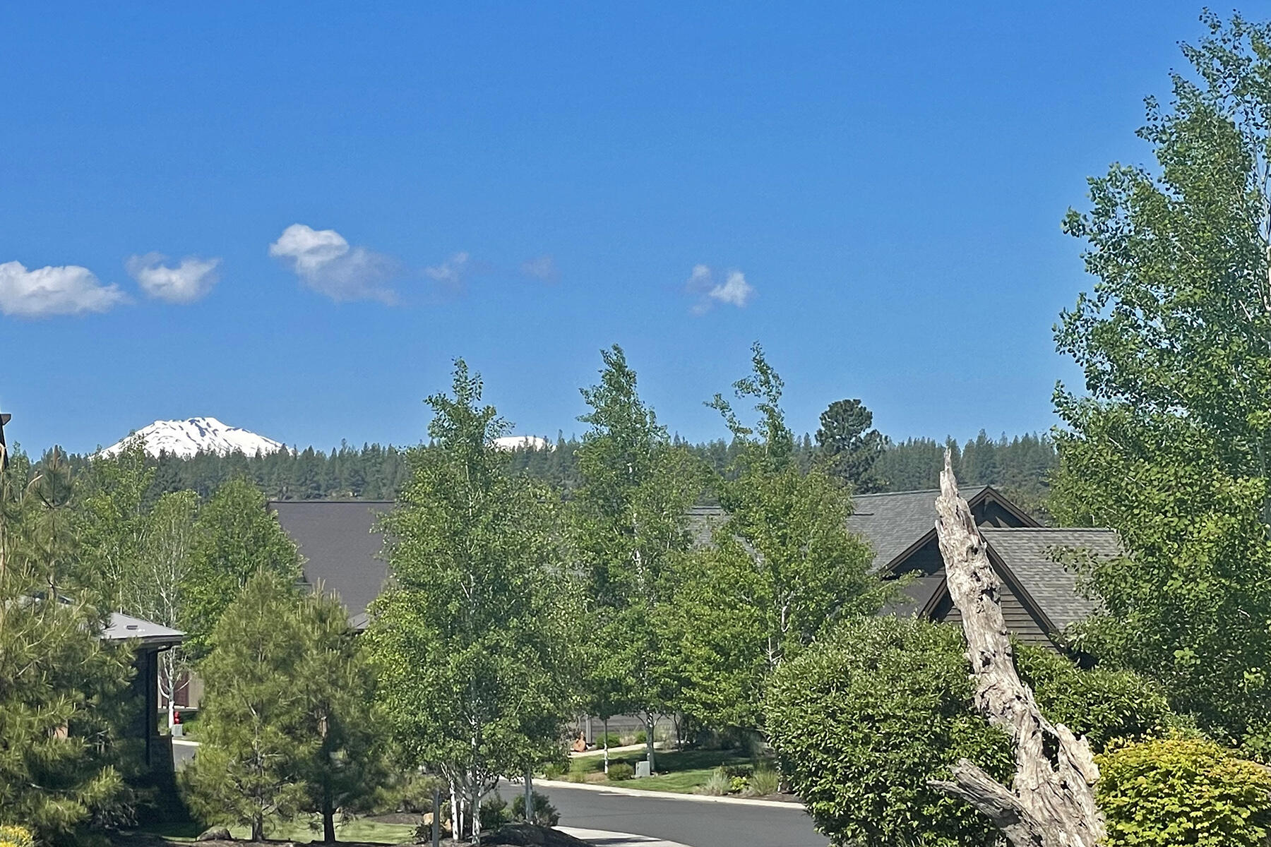 61379 Lost Hollow Loop