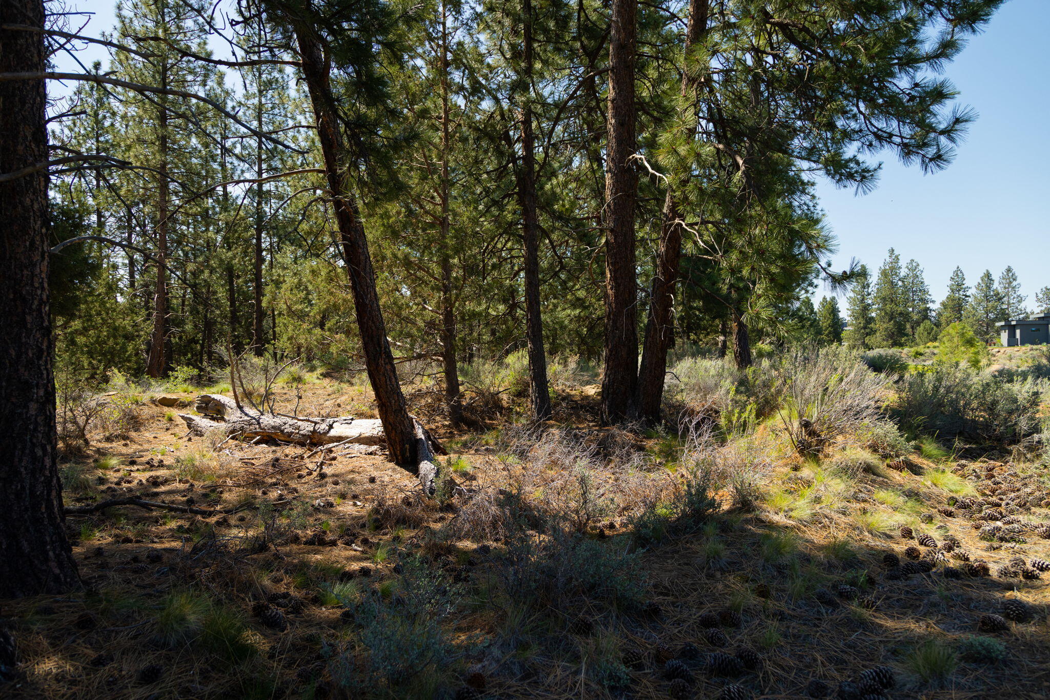 0 Hosmer Lake Drive, Lot 289