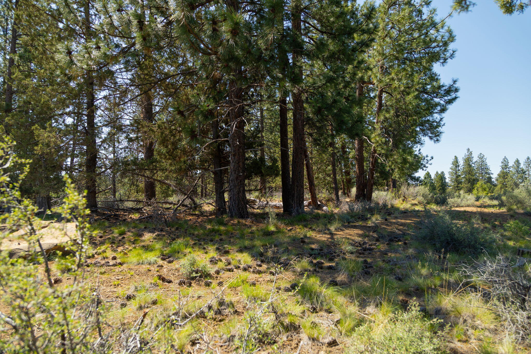 0 Hosmer Lake Drive, Lot 289