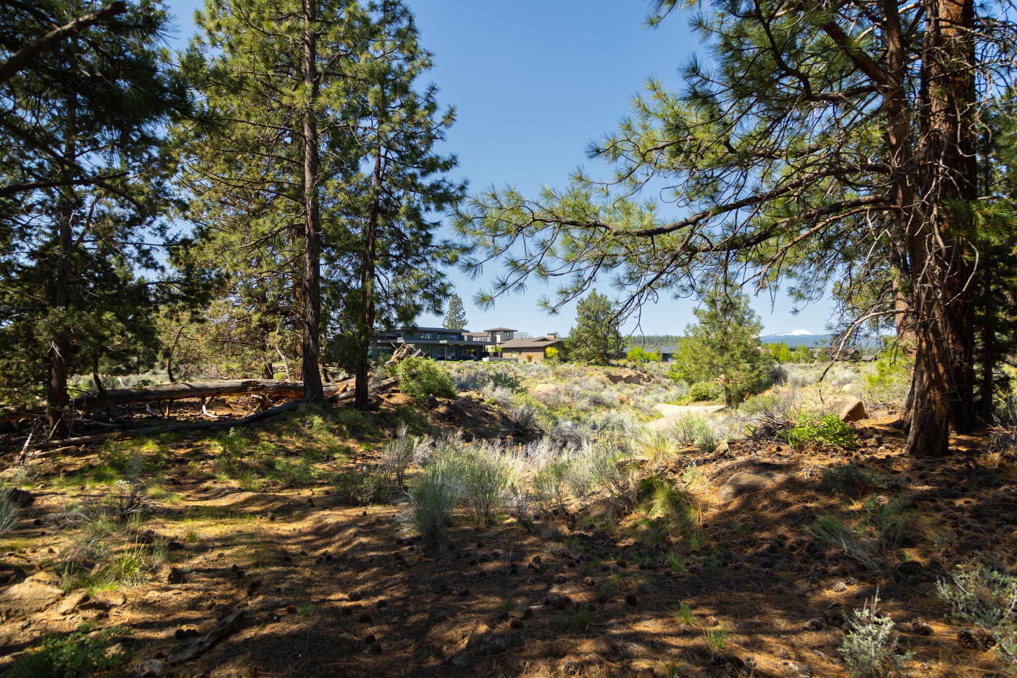 0 Hosmer Lake Drive, Lot 289