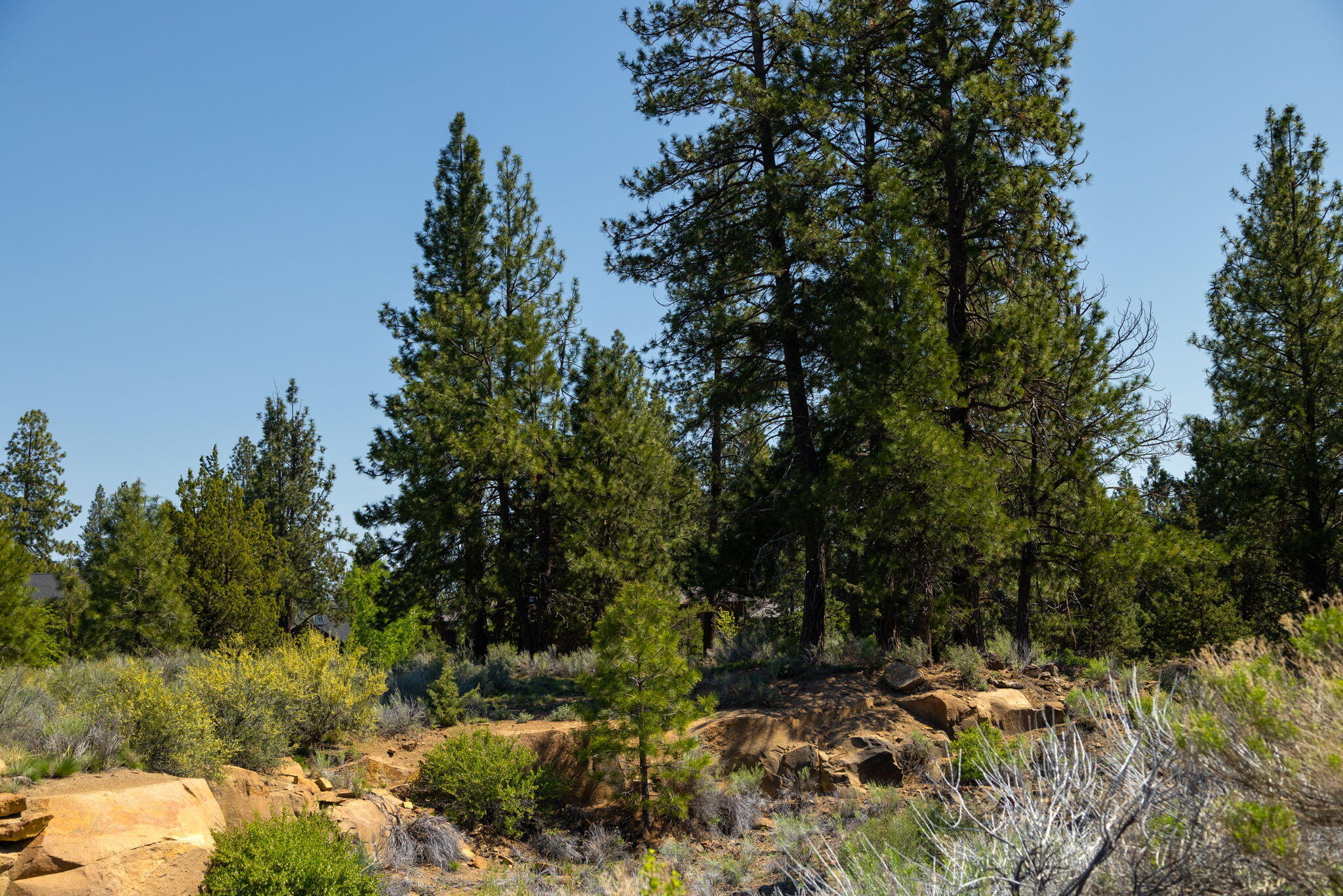 0 Hosmer Lake Drive, Lot 289