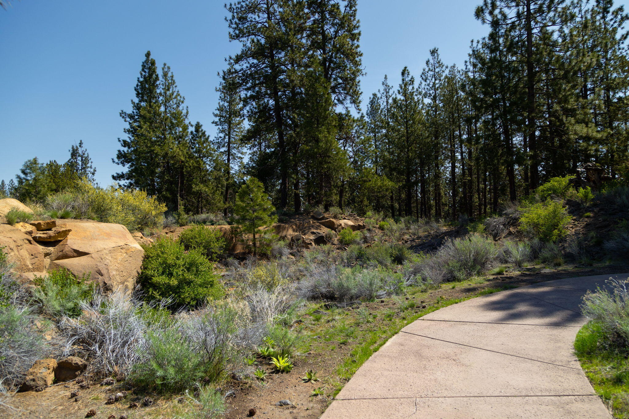 0 Hosmer Lake Drive, Lot 289