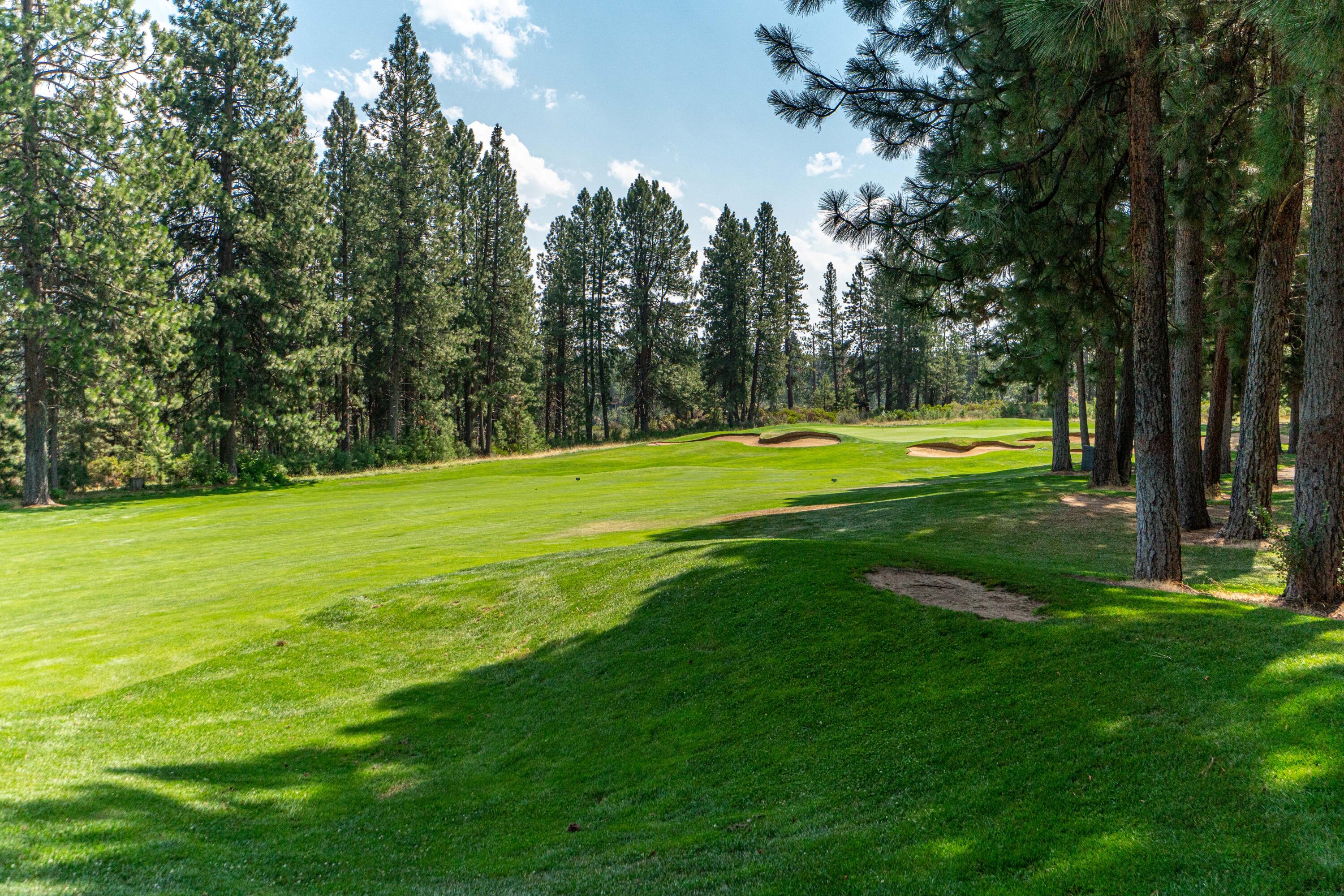 60490 Elkai Woods Drive