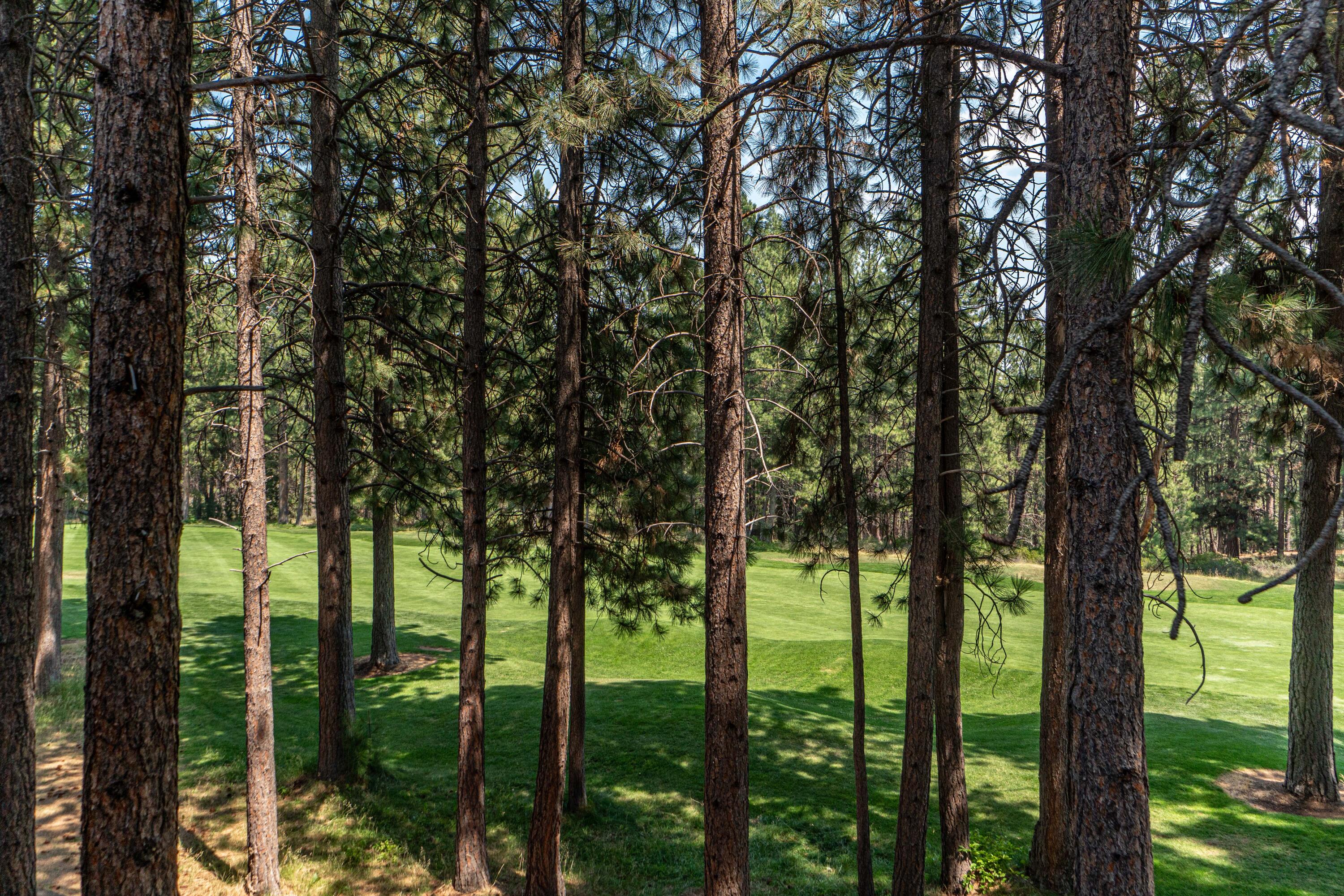 60490 Elkai Woods Drive