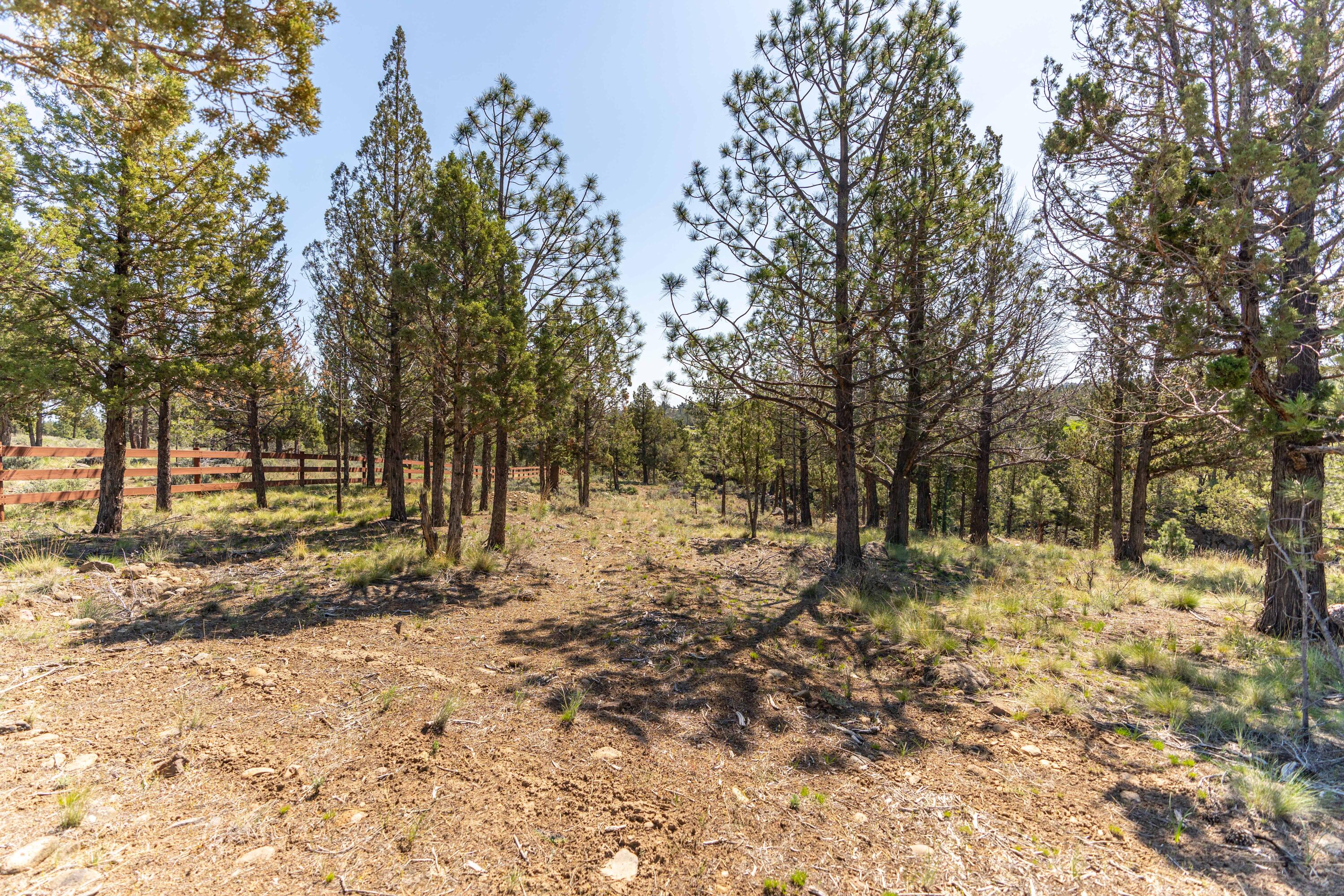 63280 Palla Lane