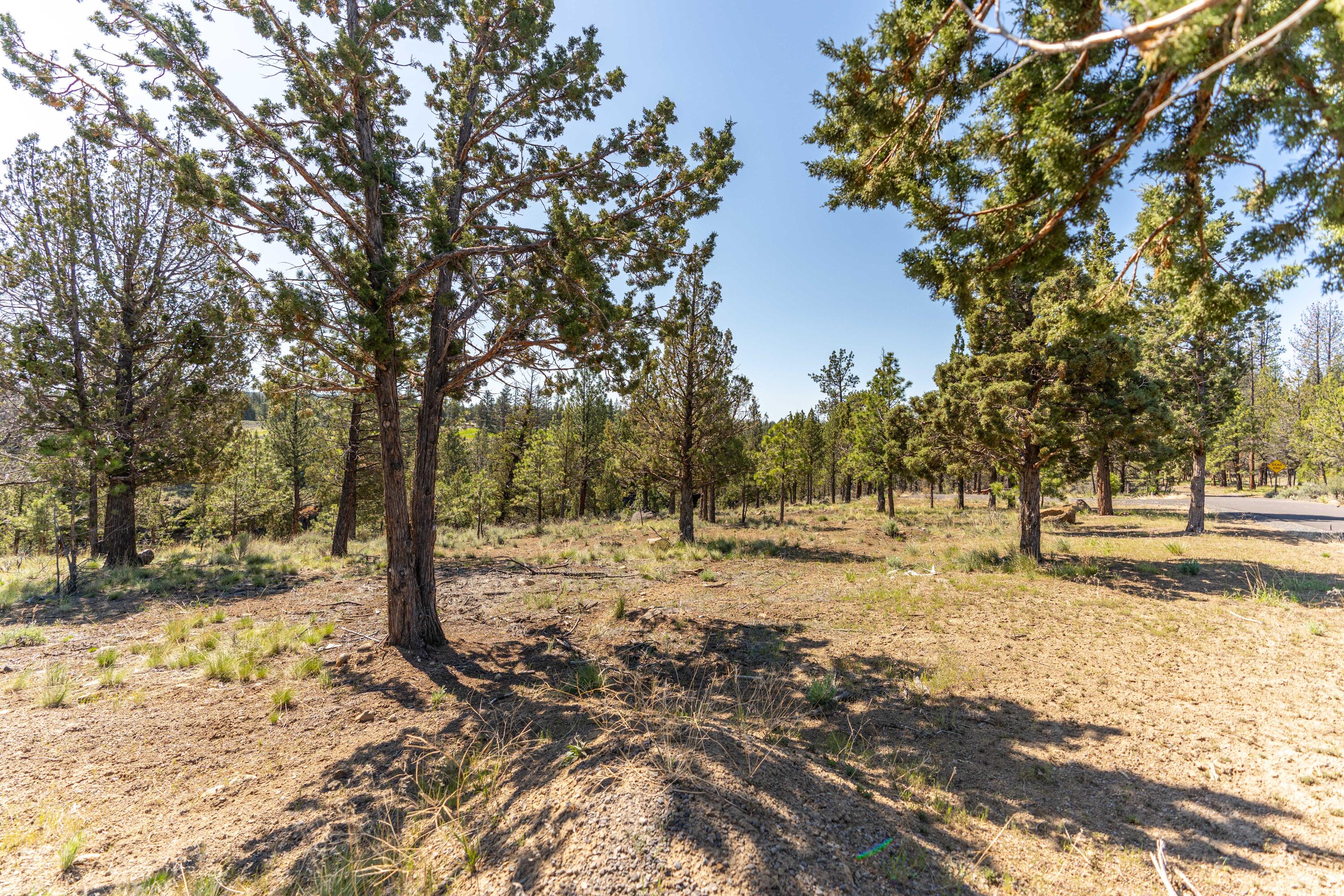 63280 Palla Lane
