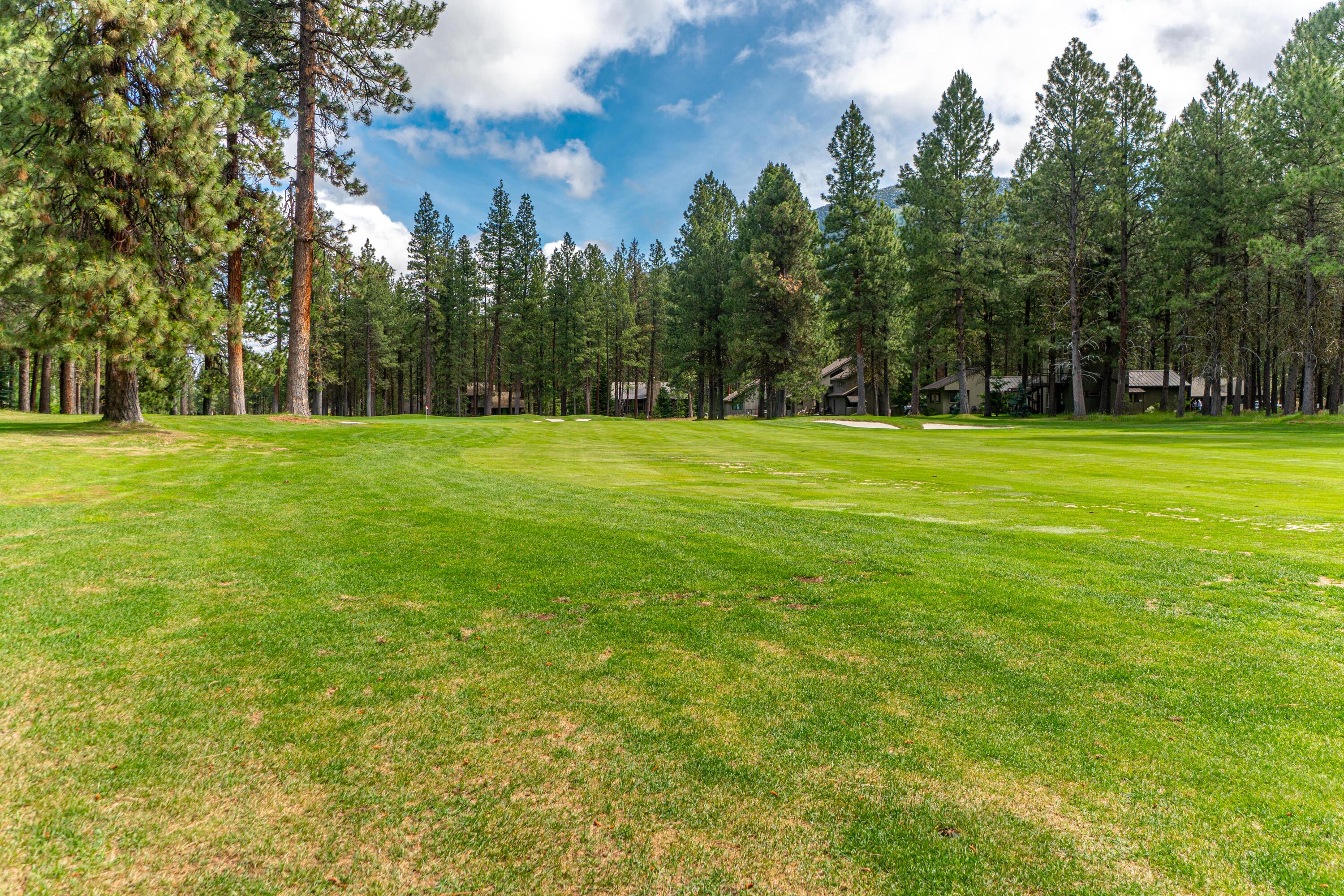 71032 Fiddleneck Lane