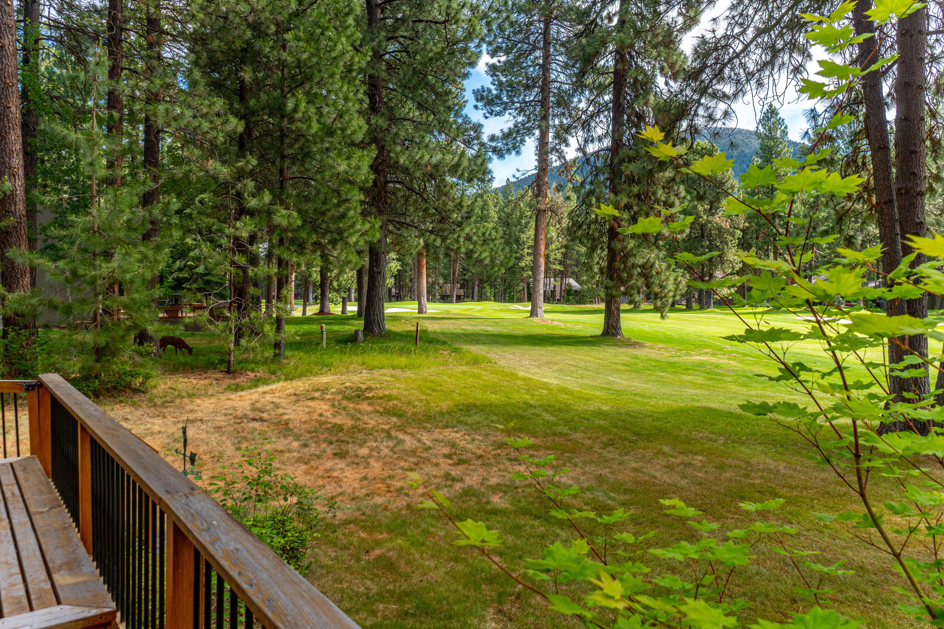 71032 Fiddleneck Lane