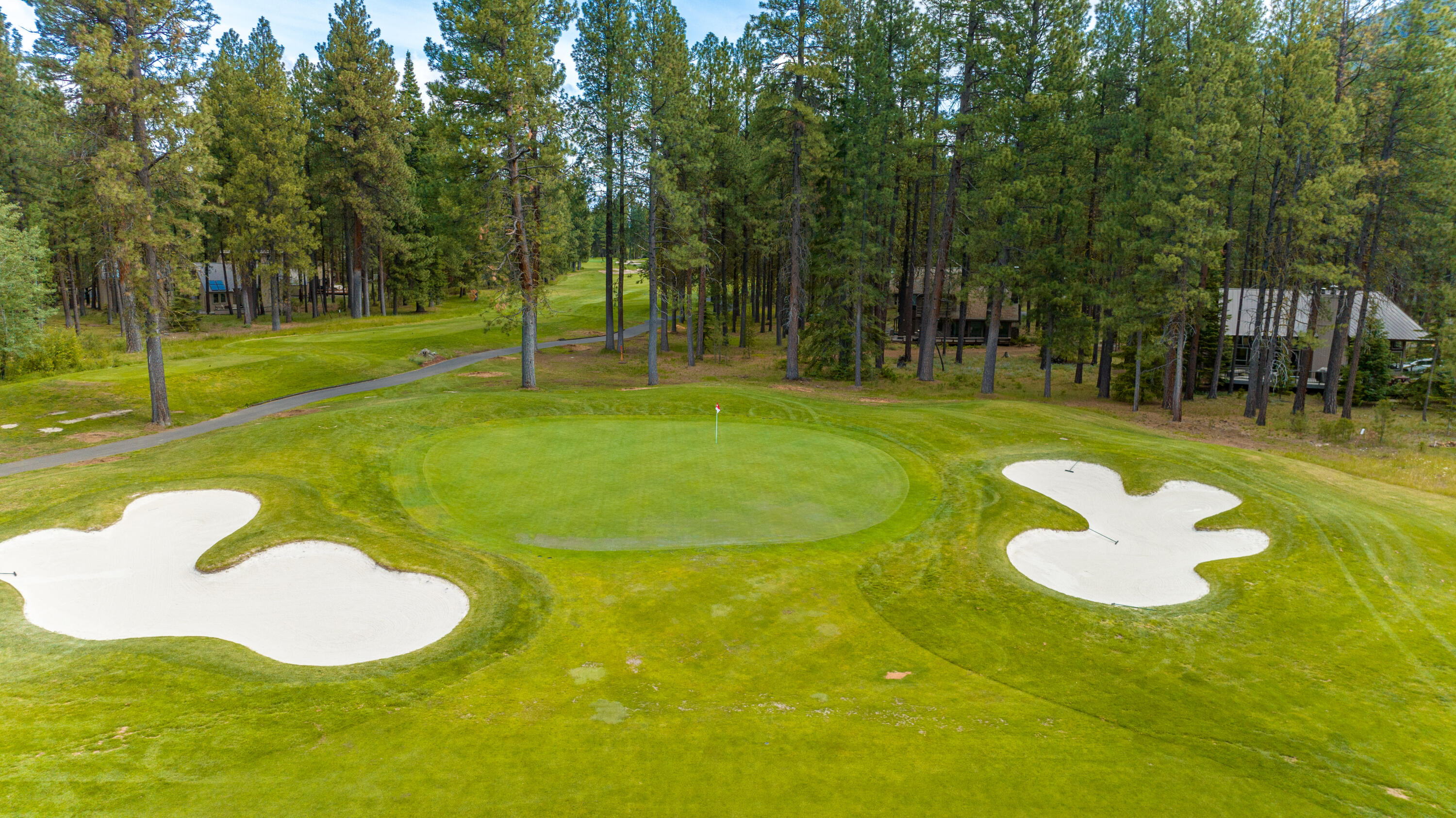 71032 Fiddleneck Lane