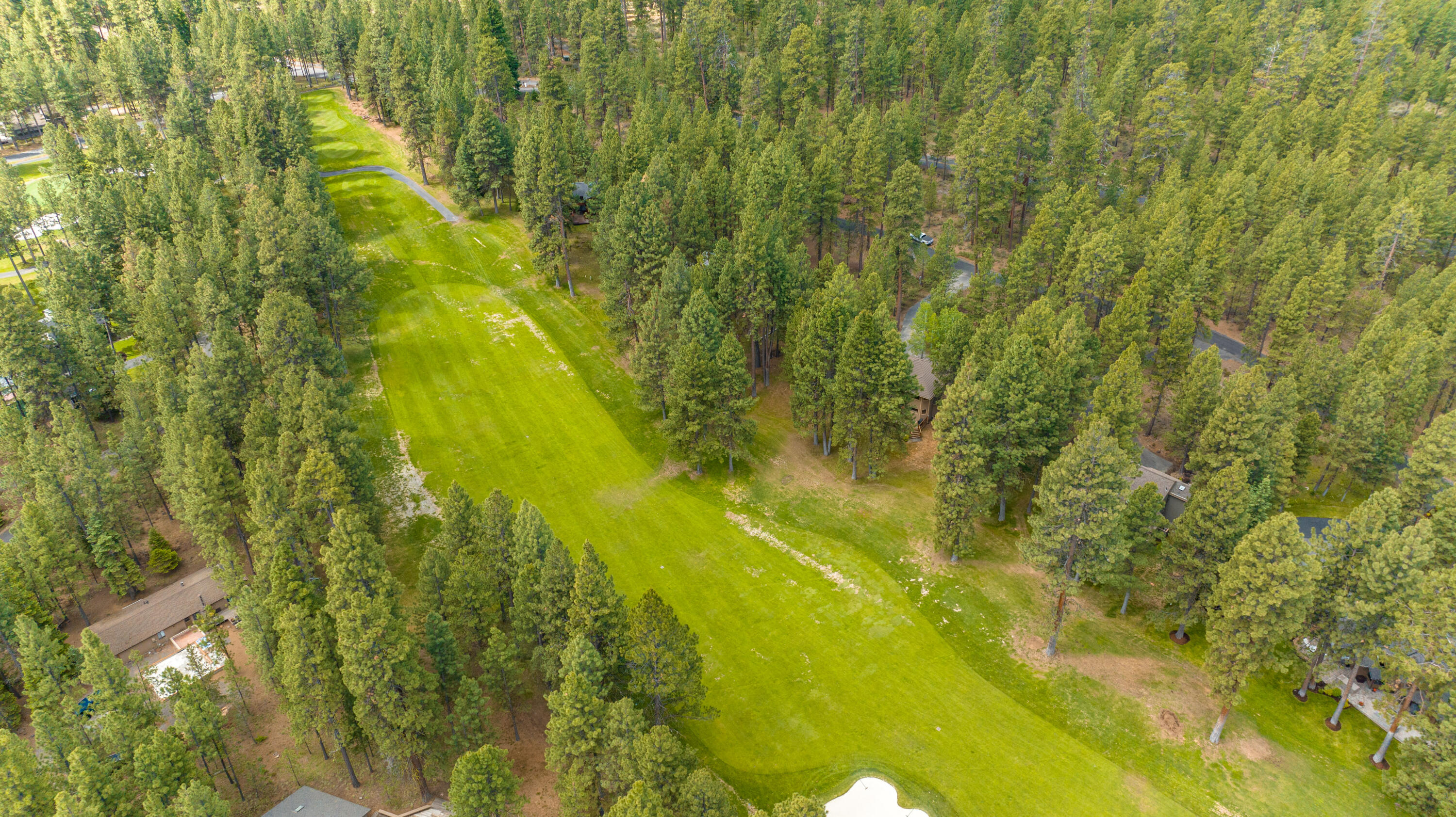 71032 Fiddleneck Lane