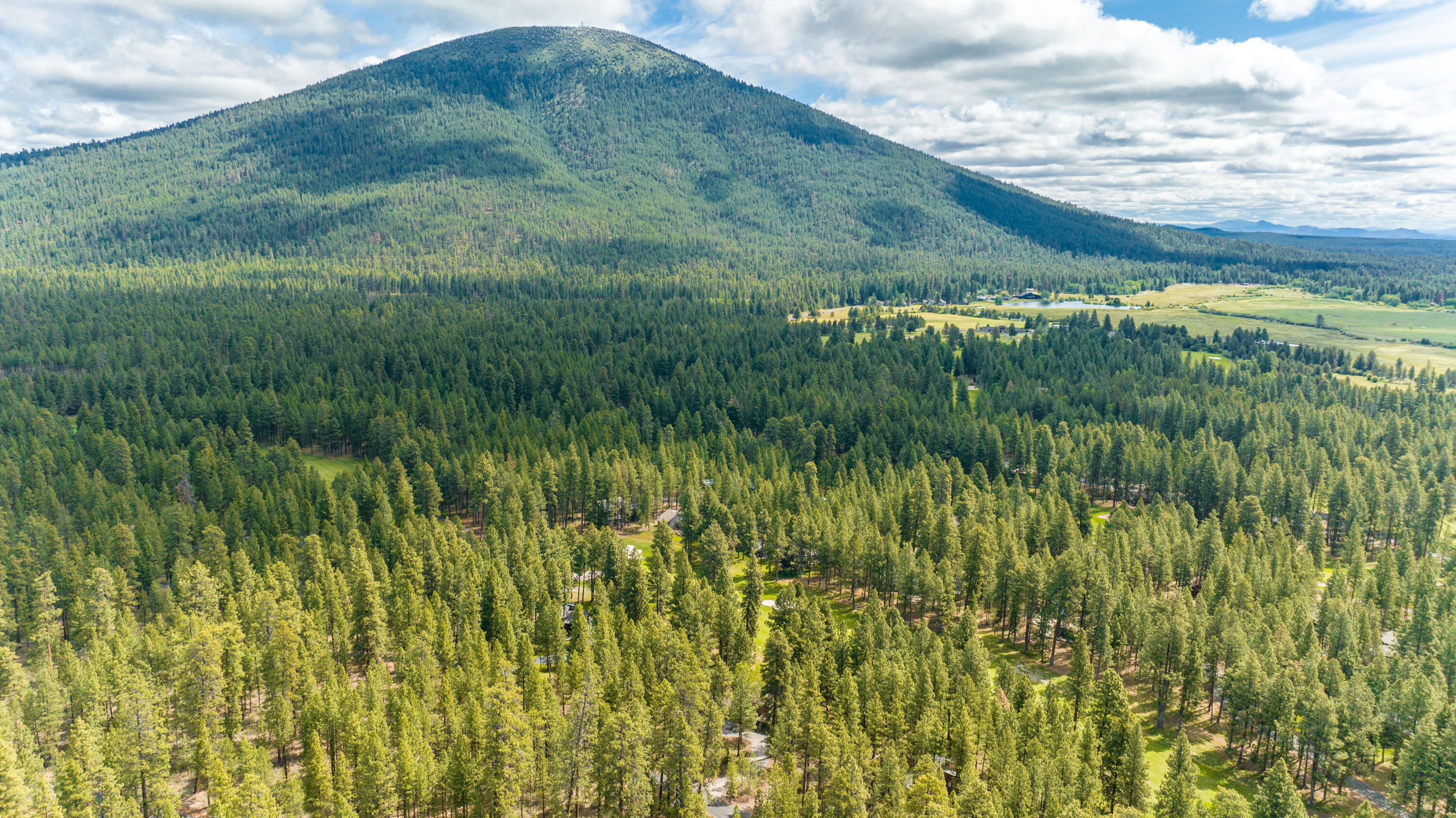 71032 Fiddleneck Lane