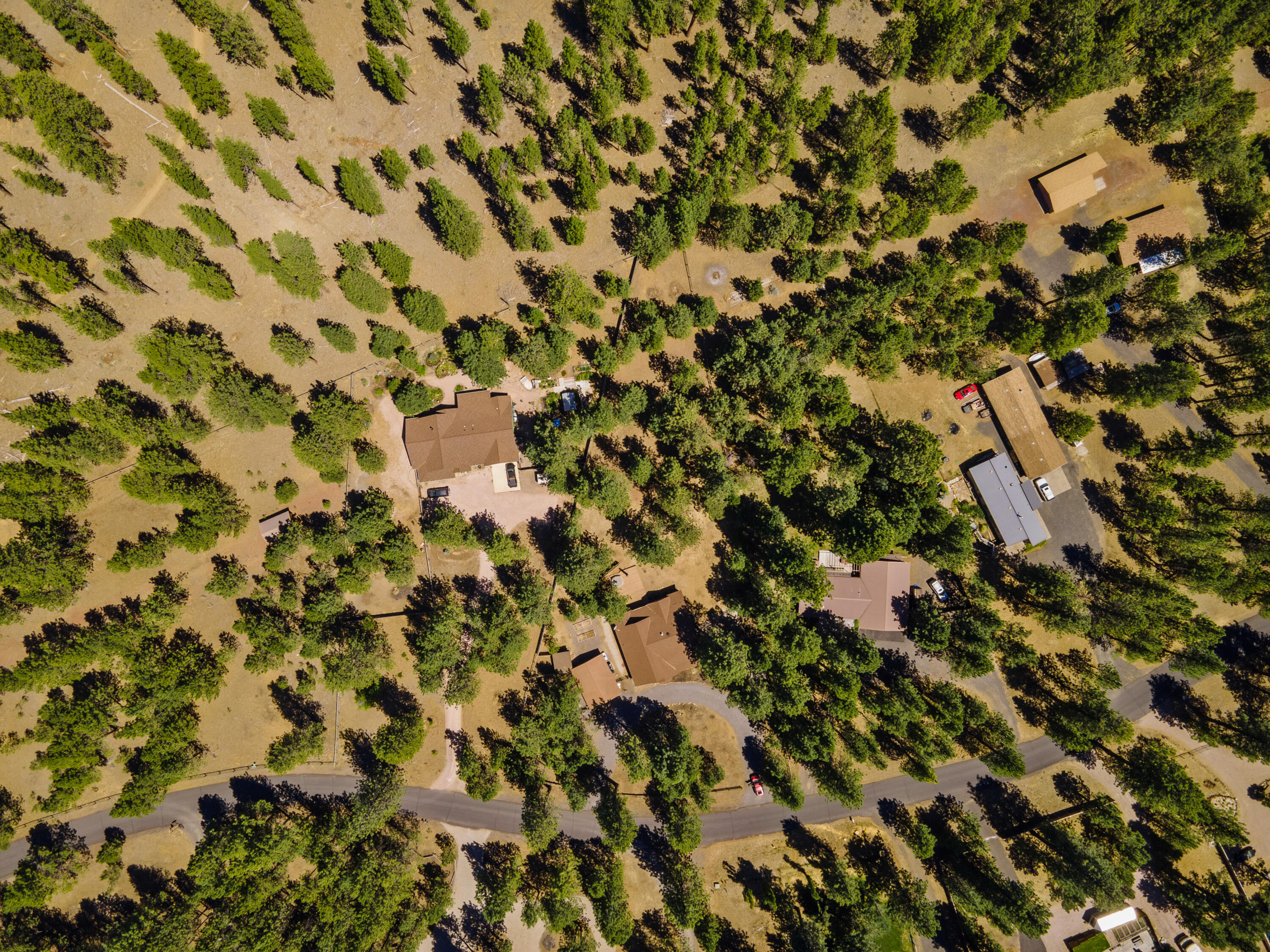 14883 Bluegrass Loop