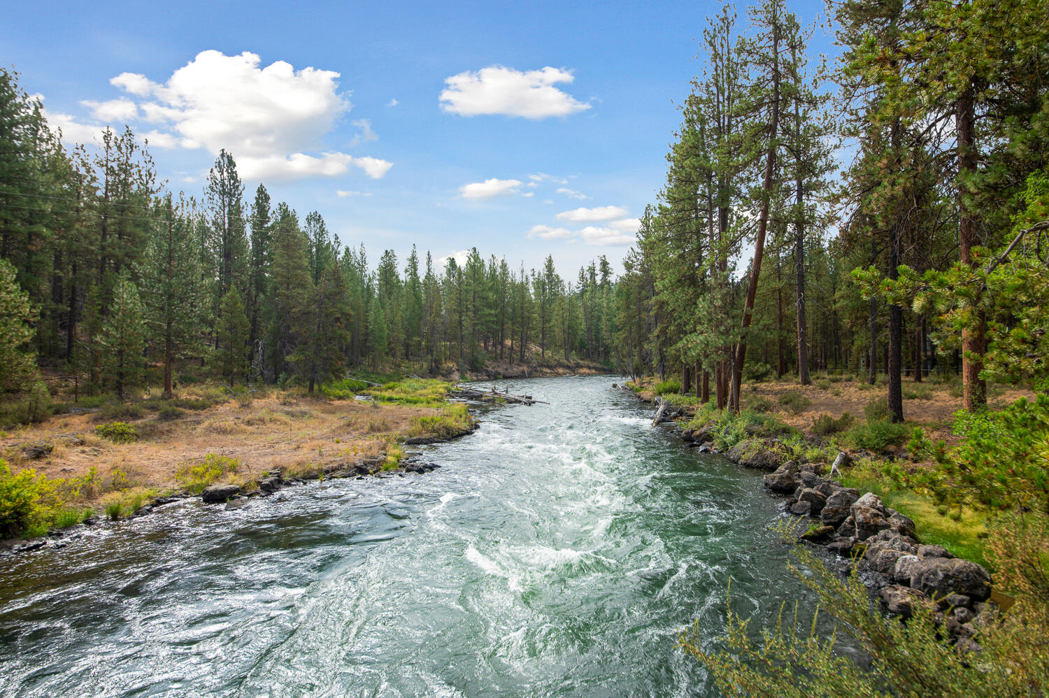 14232 Whitewater Loop