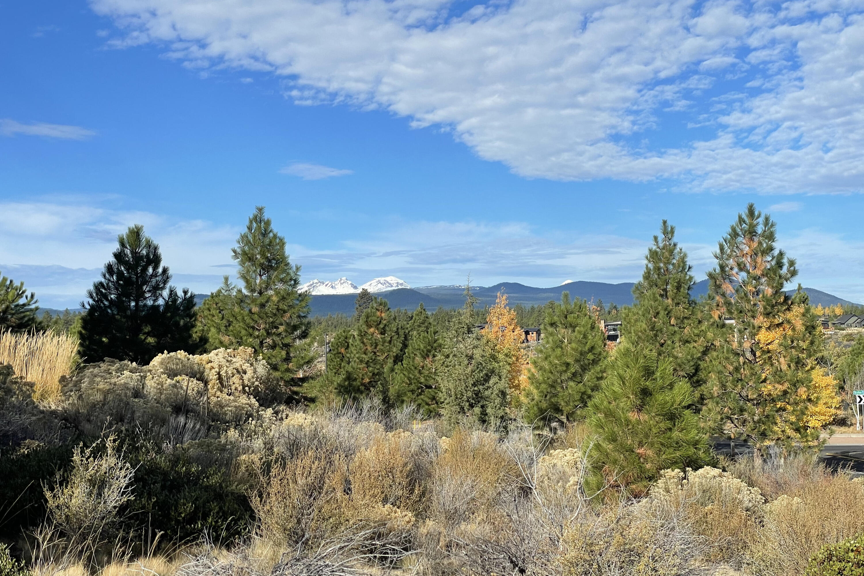 19260 Christopher Court