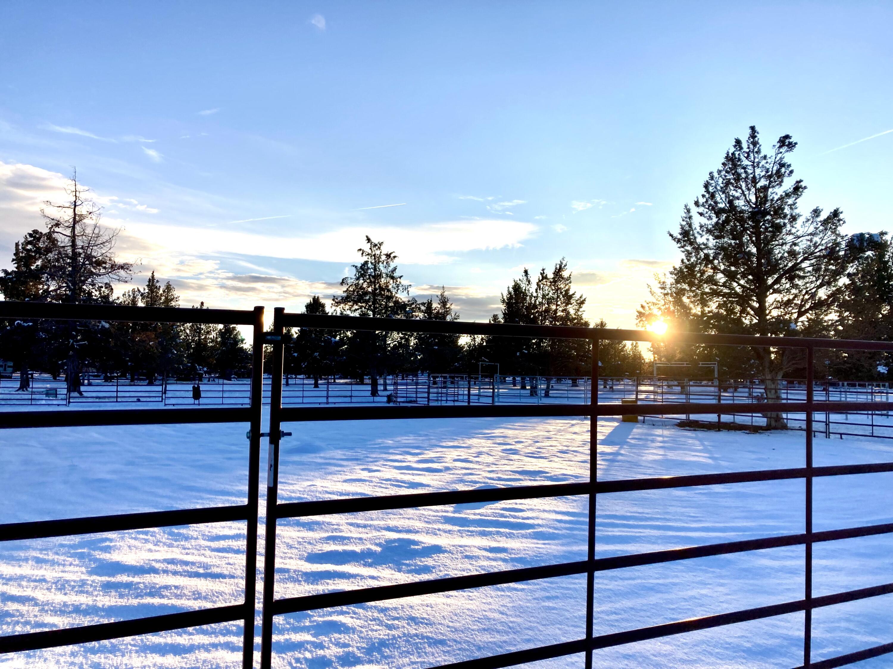 13714 SW Chipmunk Road