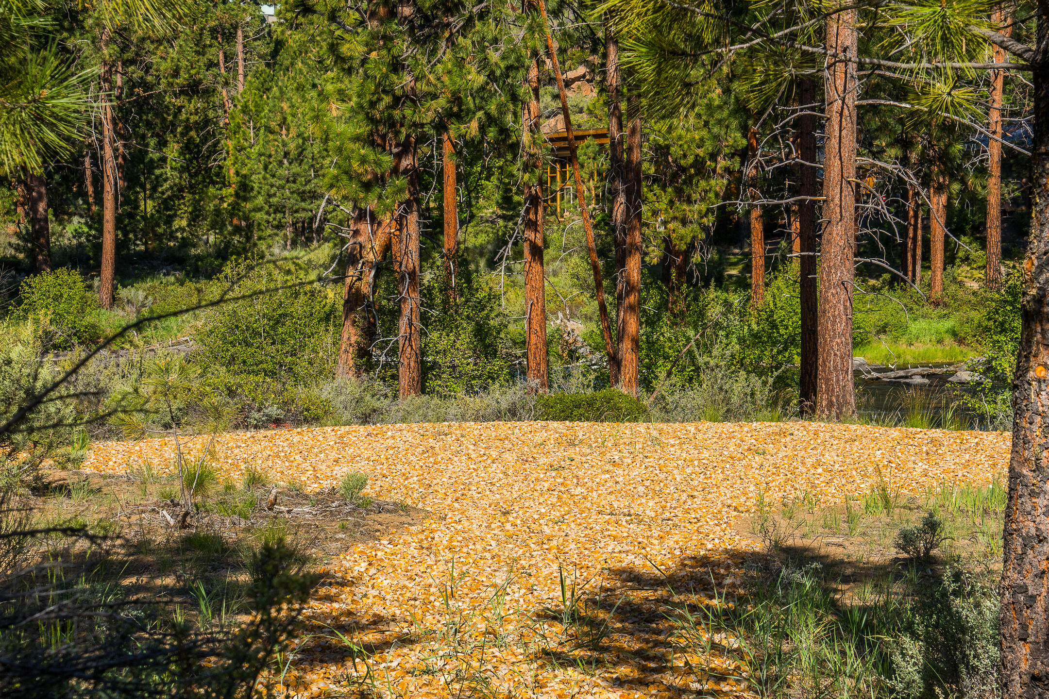 60893 River Rim Drive