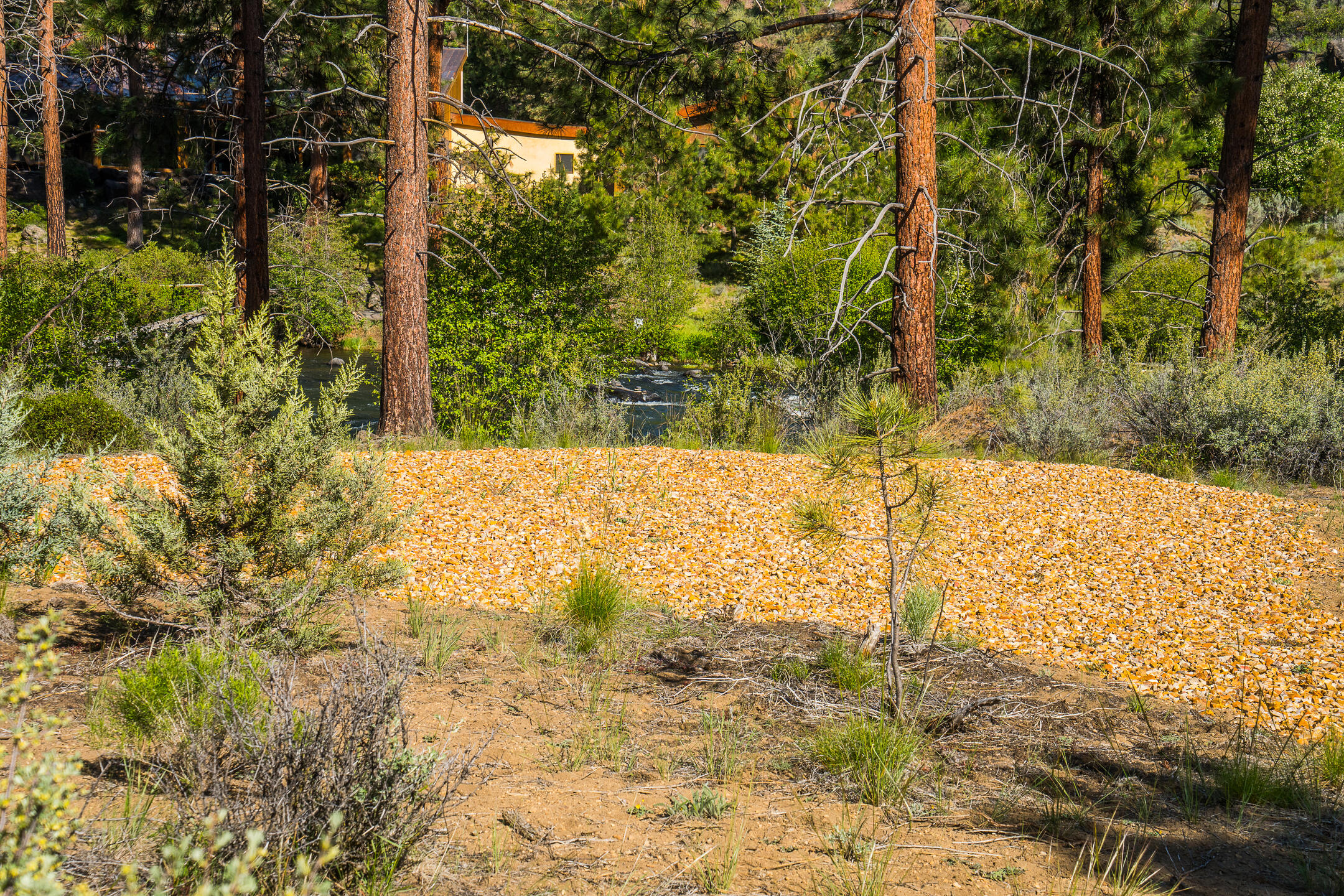 60893 River Rim Drive