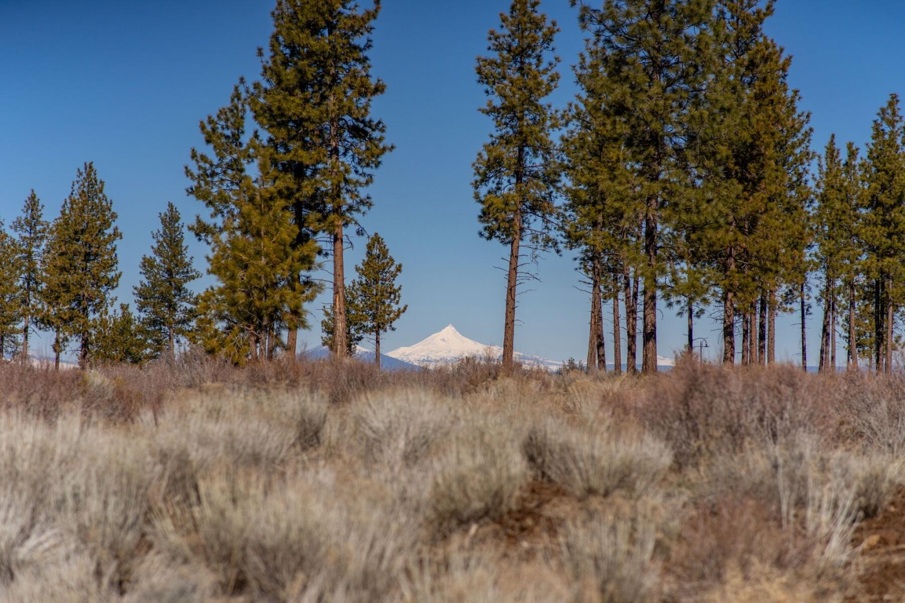 19058 Timber Ridge Court