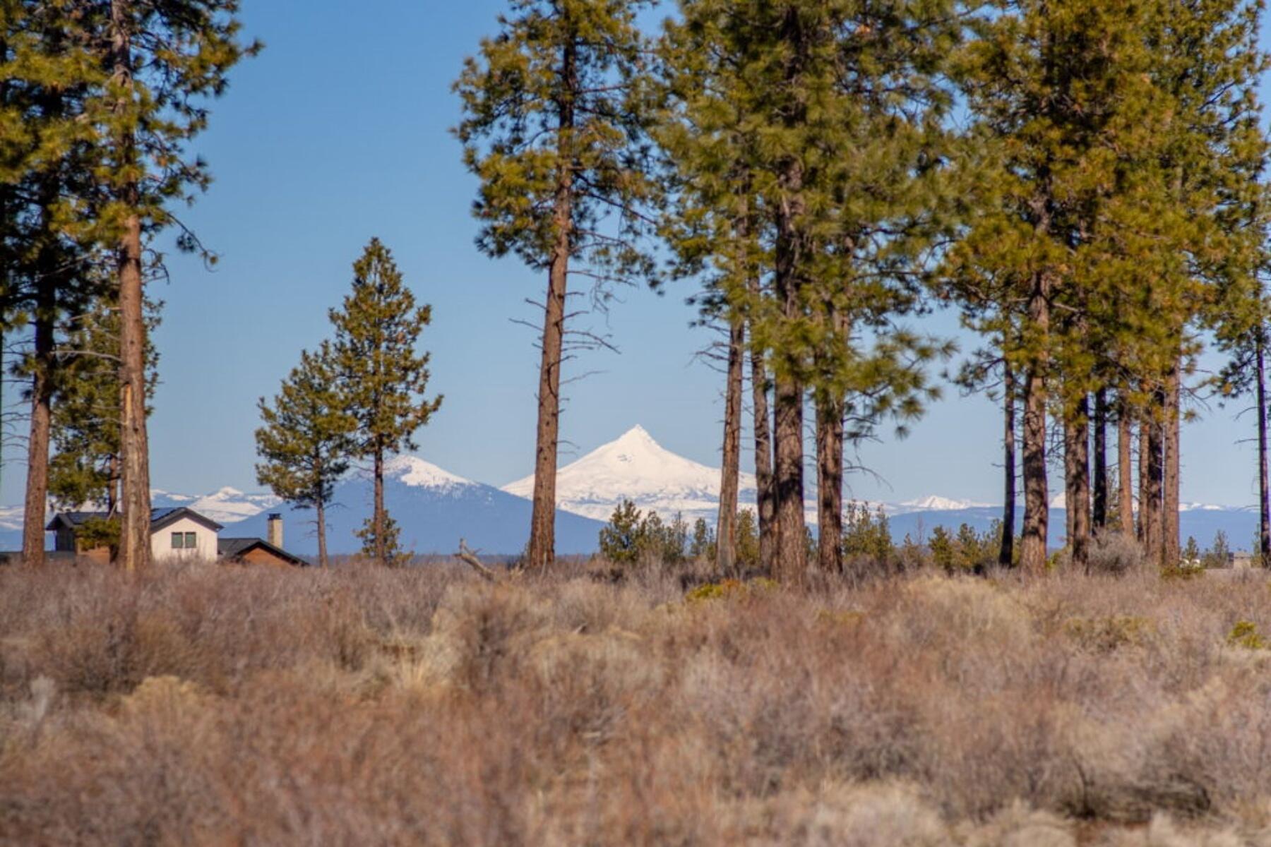 19058 Timber Ridge Court