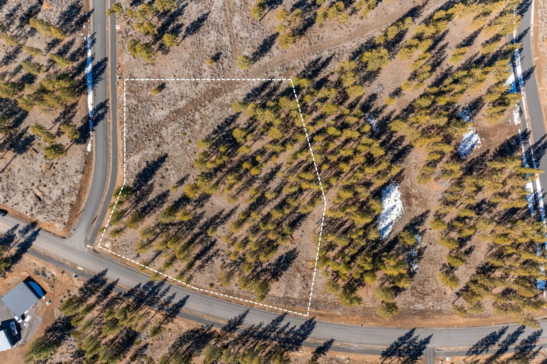 19058 Timber Ridge Court