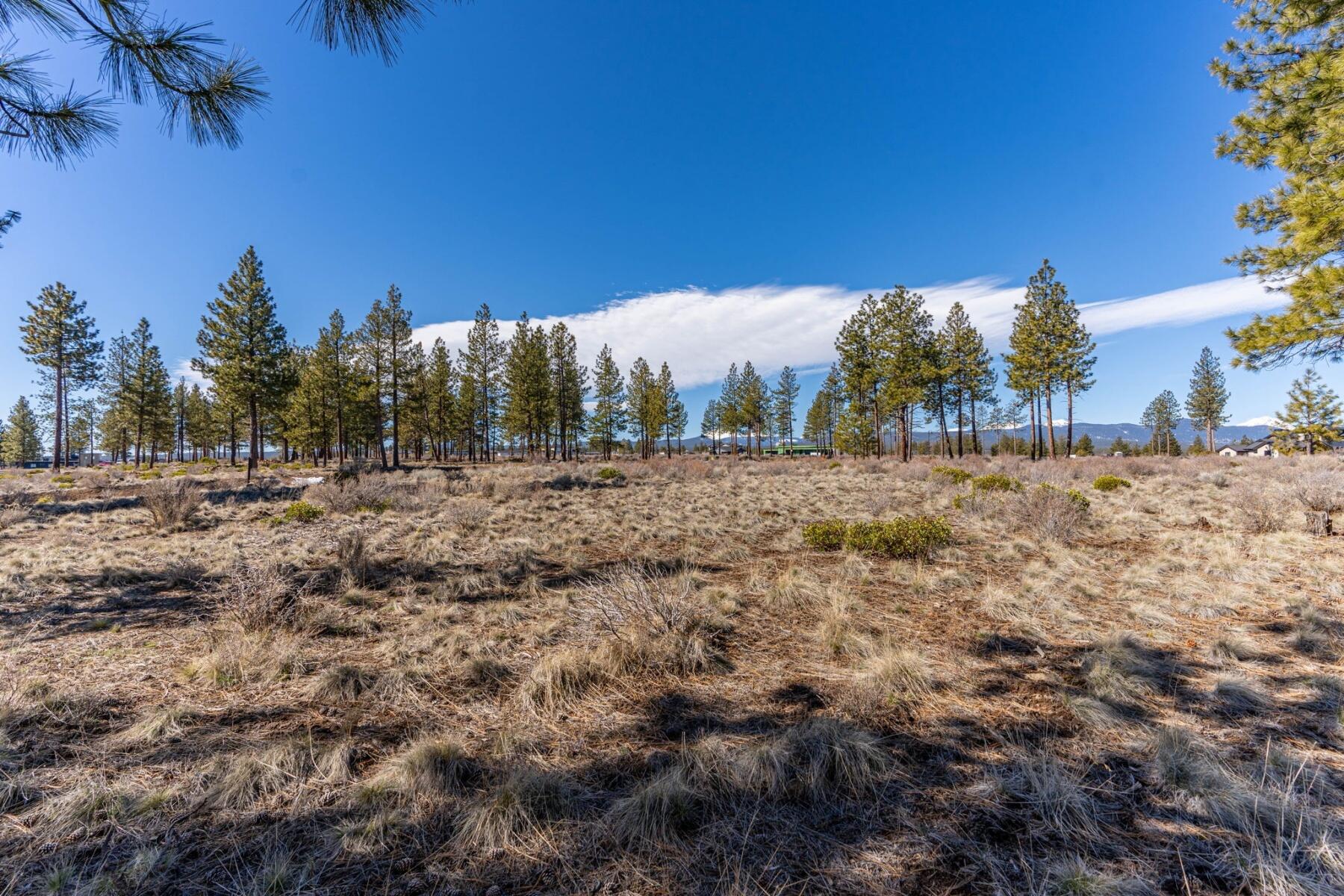 19058 Timber Ridge Court