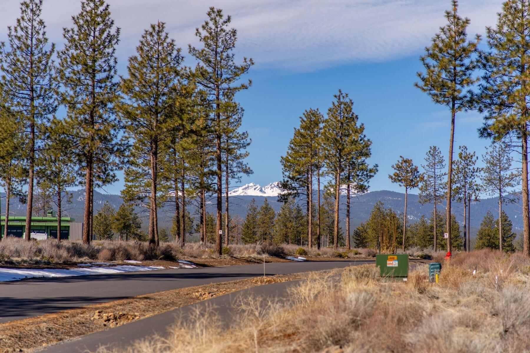 19058 Timber Ridge Court