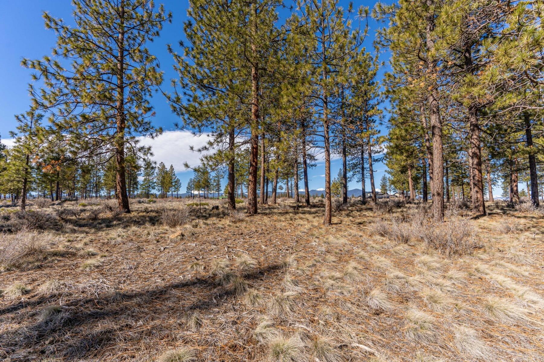 19058 Timber Ridge Court