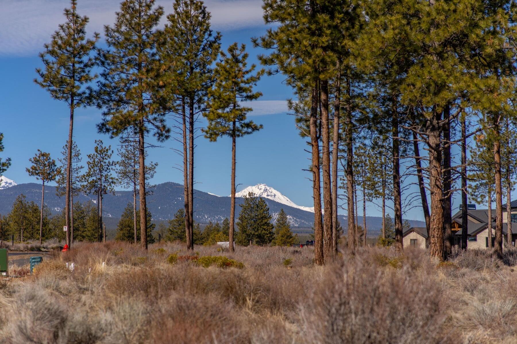 19058 Timber Ridge Court