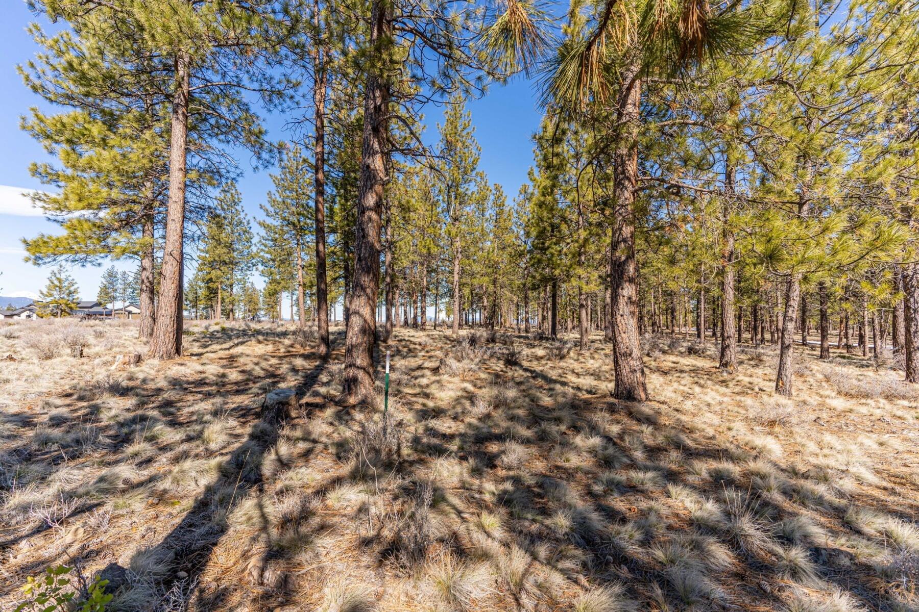 19058 Timber Ridge Court