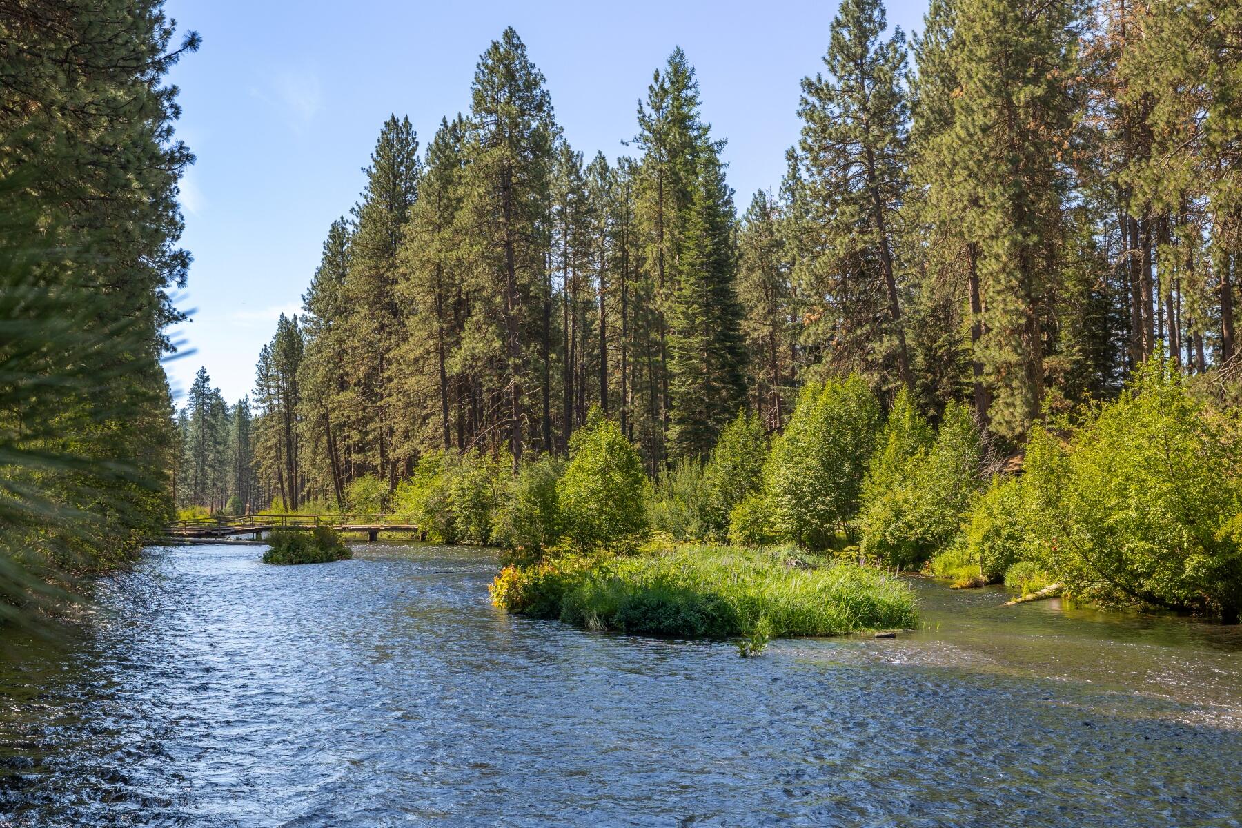 25513 SW Cold Springs Resort Lane