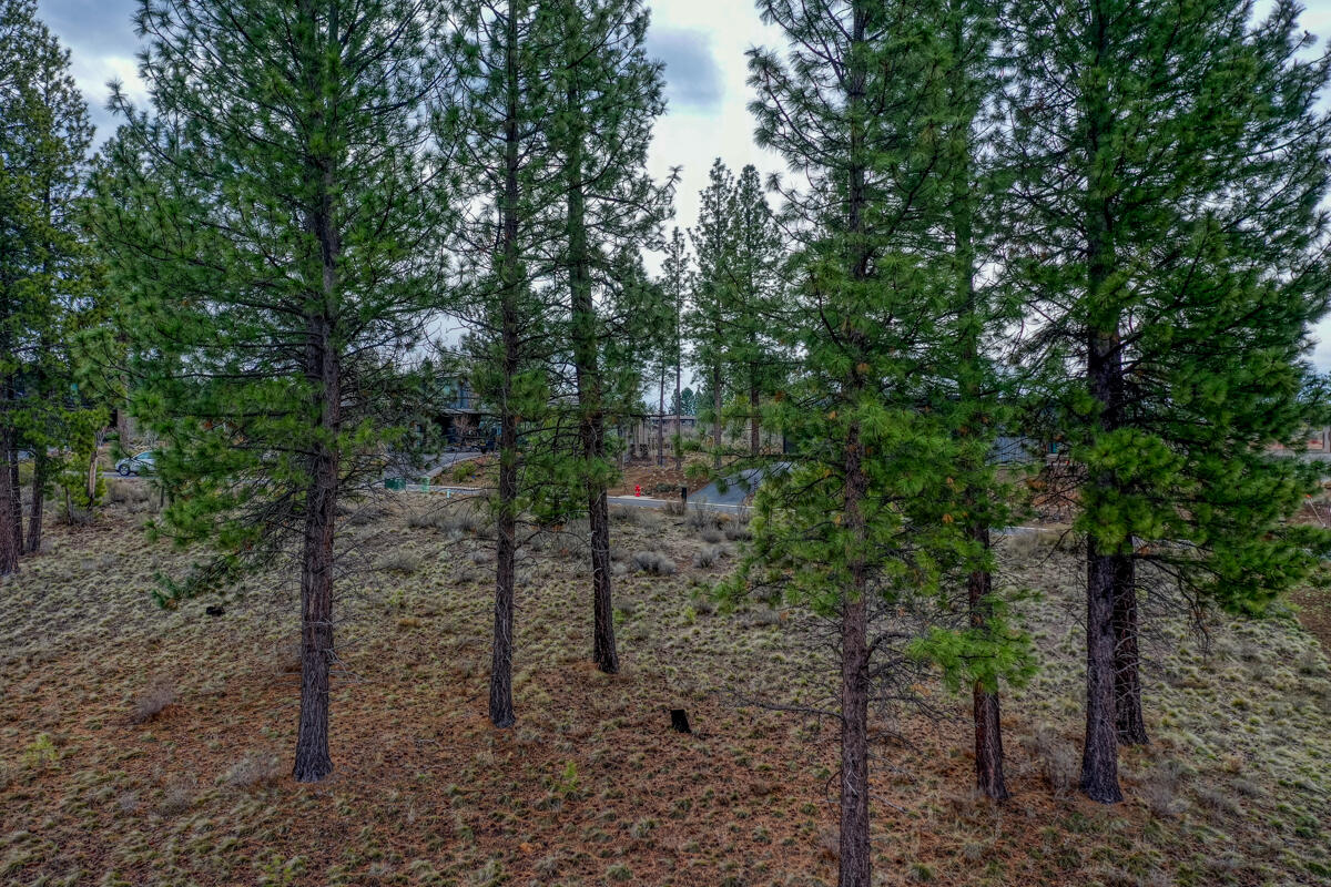 61841 Hosmer Lake Drive, 377