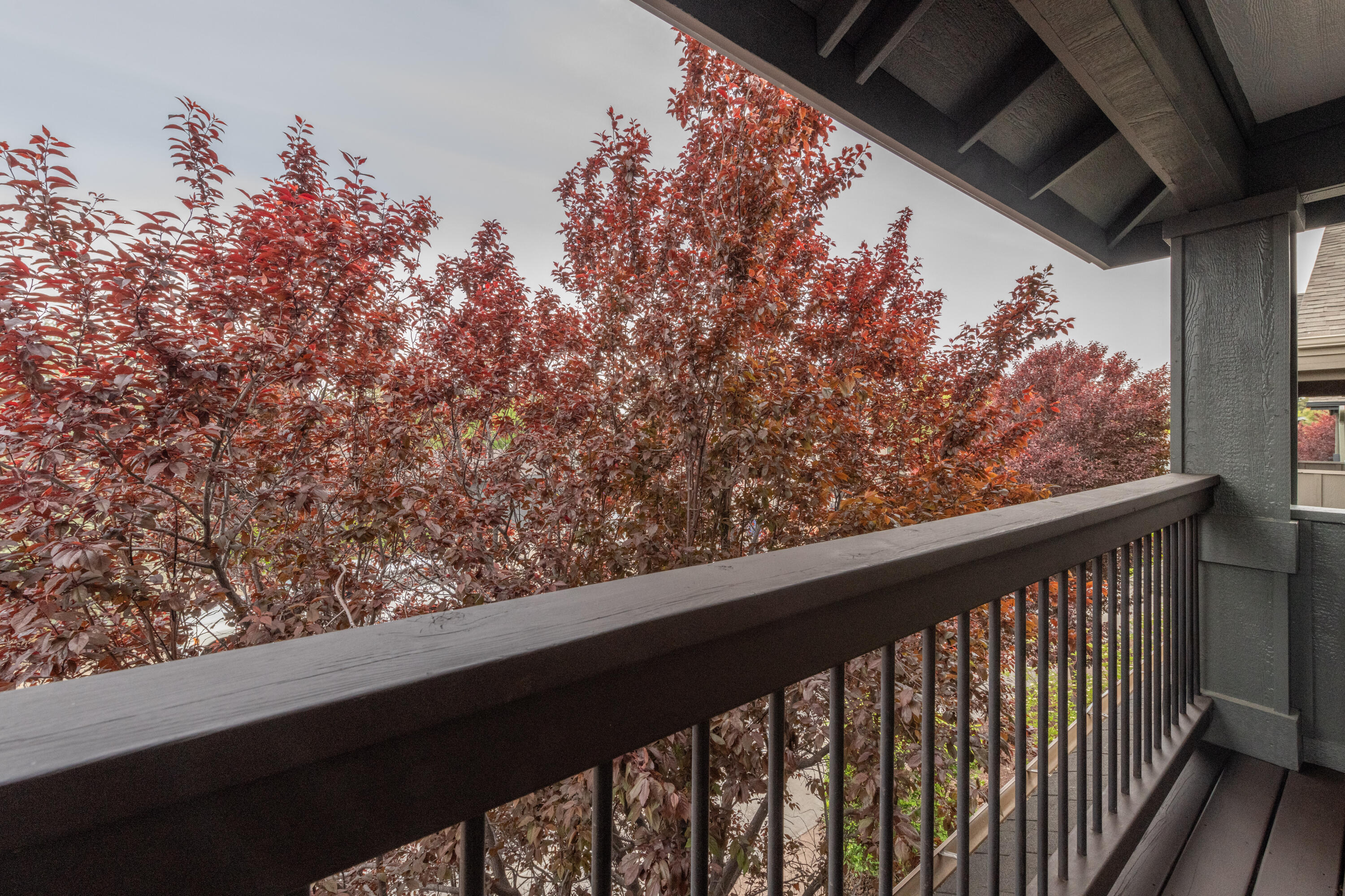 61390 Merriewood Court