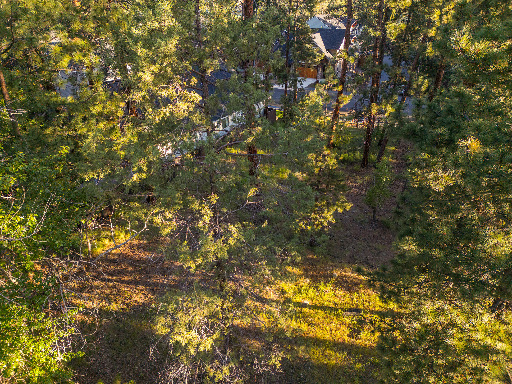 390 S Timber Creek Drive