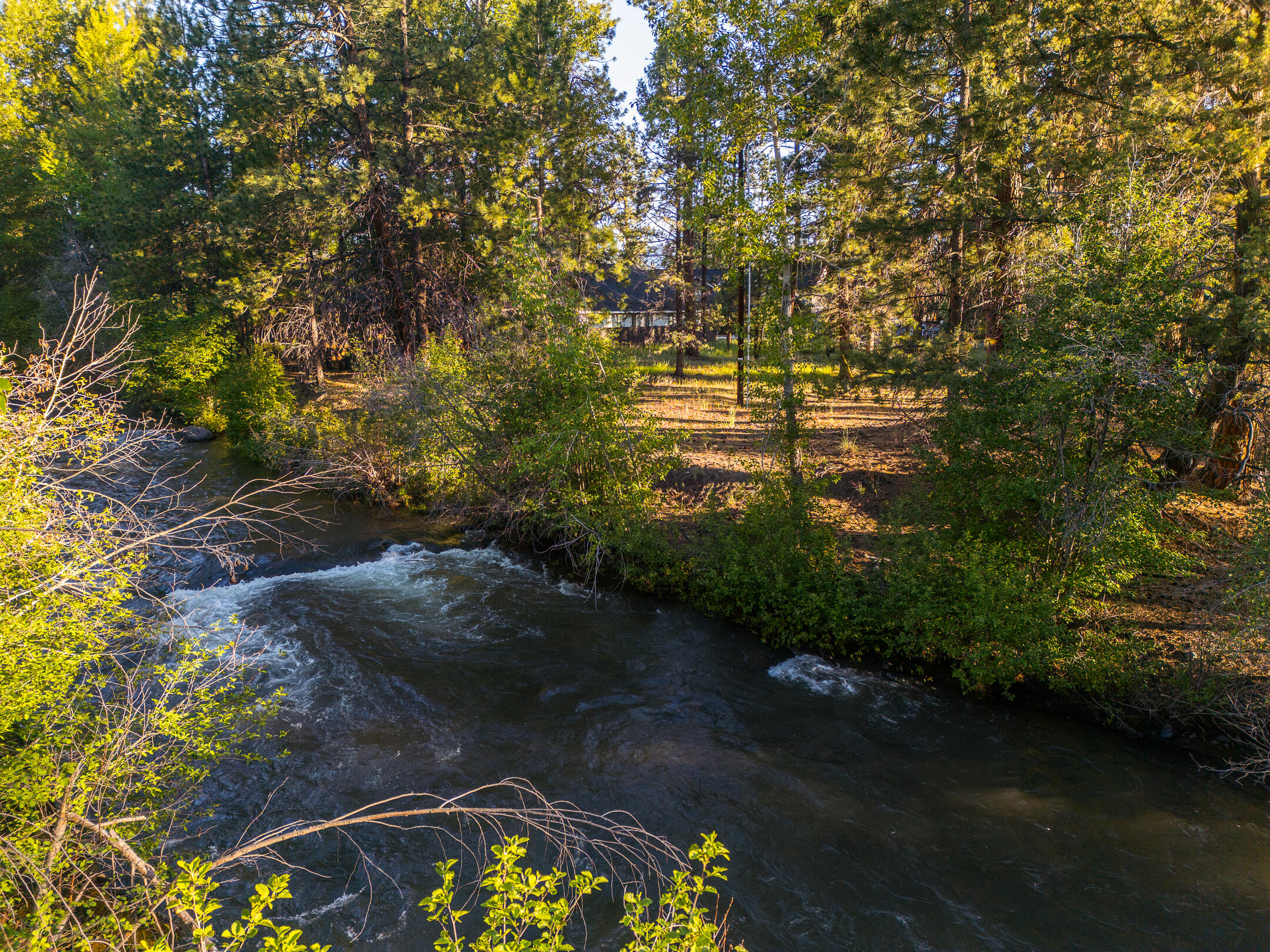 390 S Timber Creek Drive