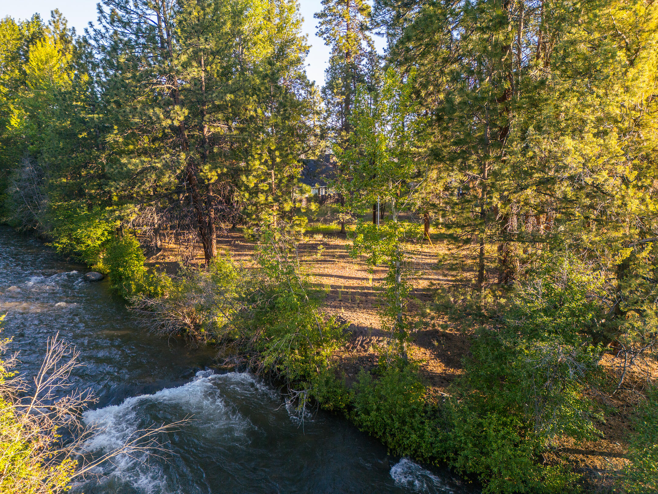 390 S Timber Creek Drive