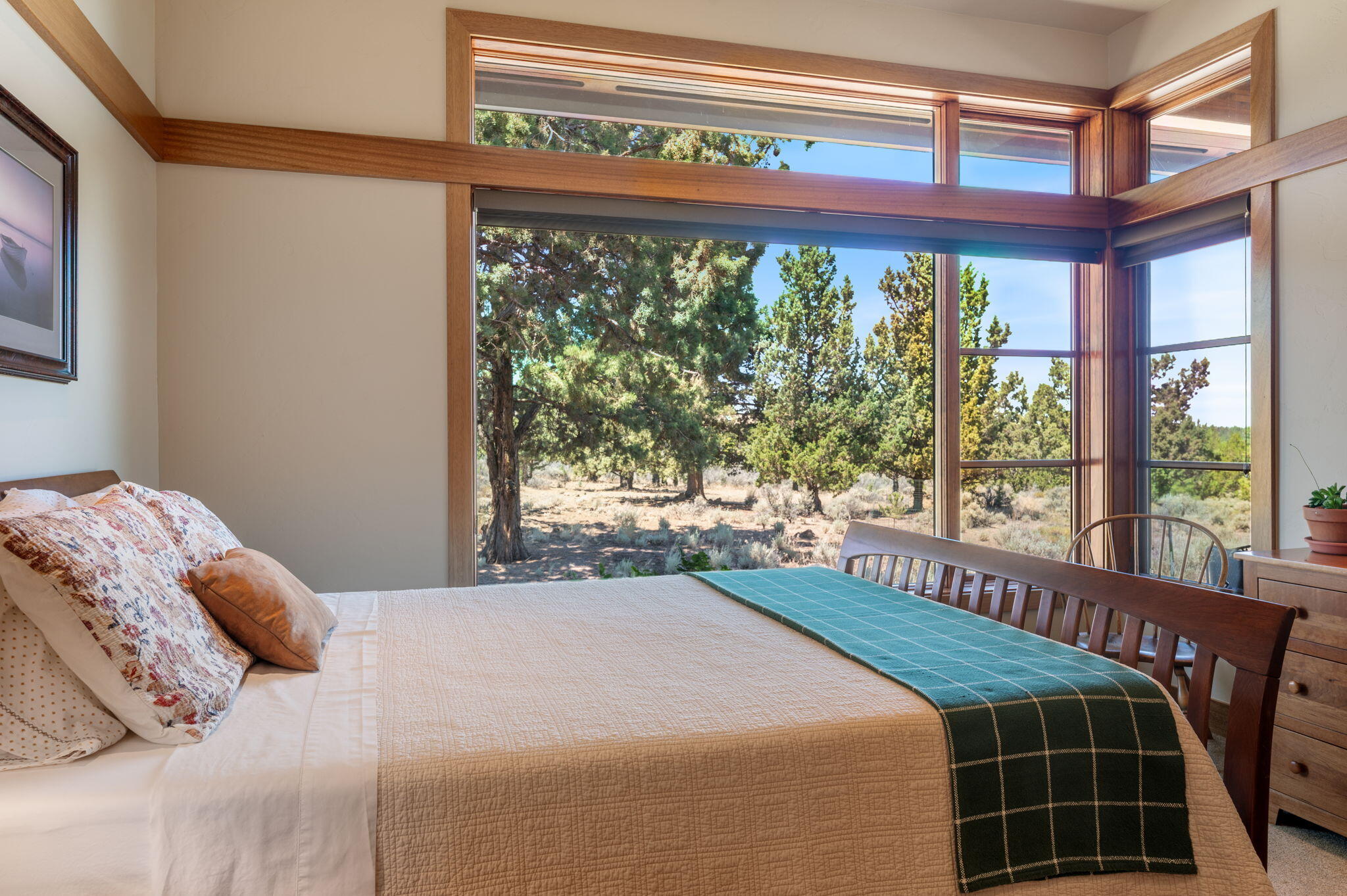 22370 White Peaks Drive