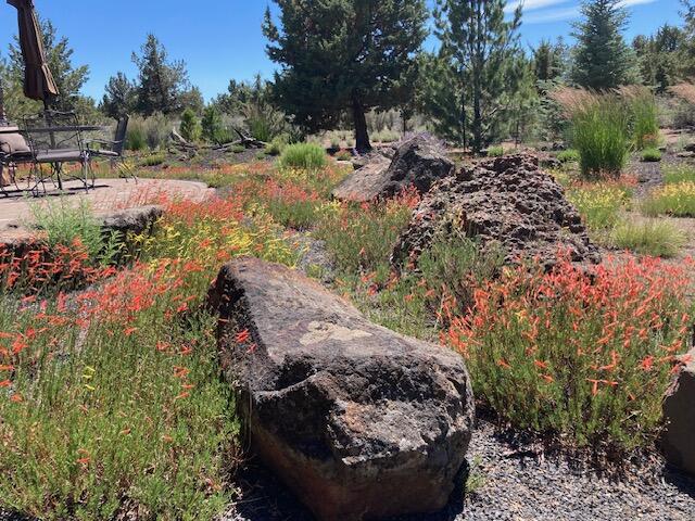 22370 White Peaks Drive